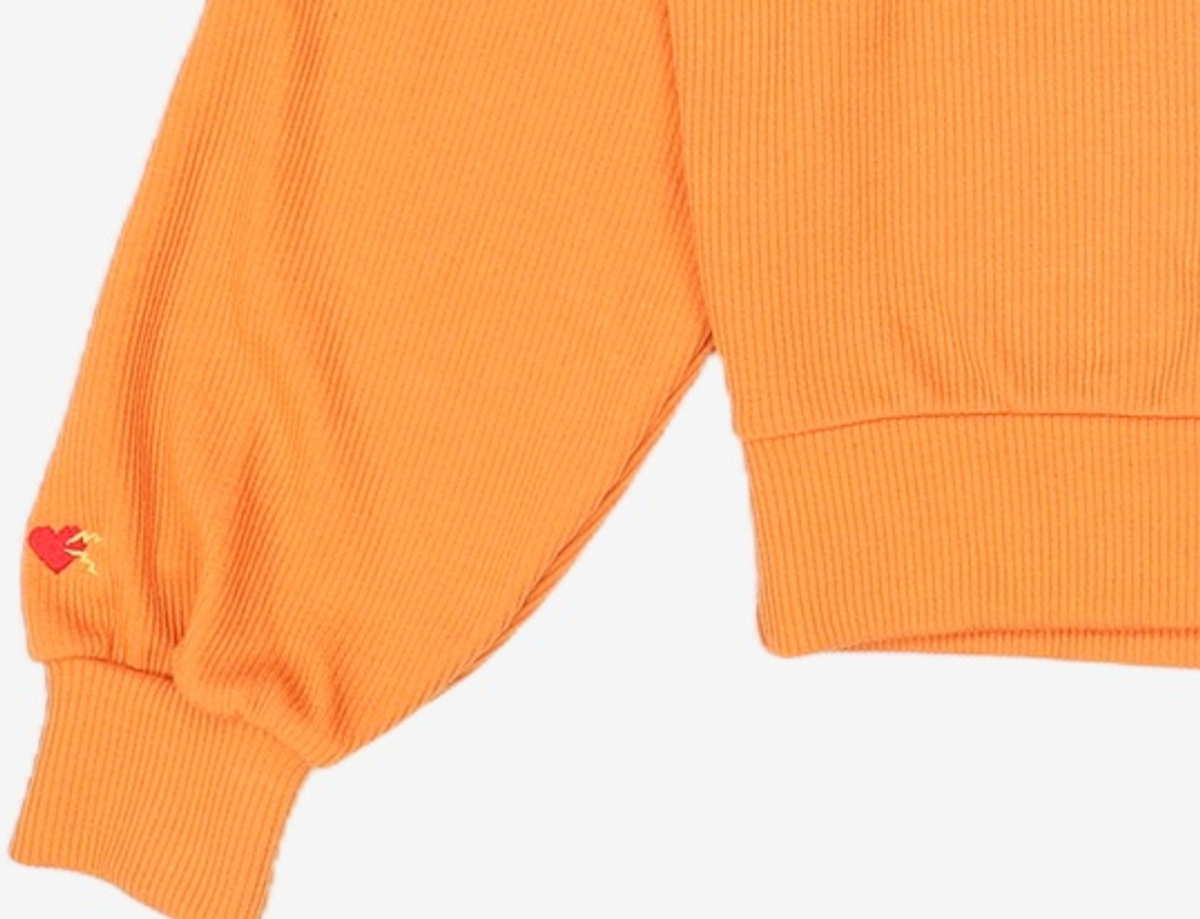 비터셀즈(BITTERCELLS) 긴소매 티셔츠 2