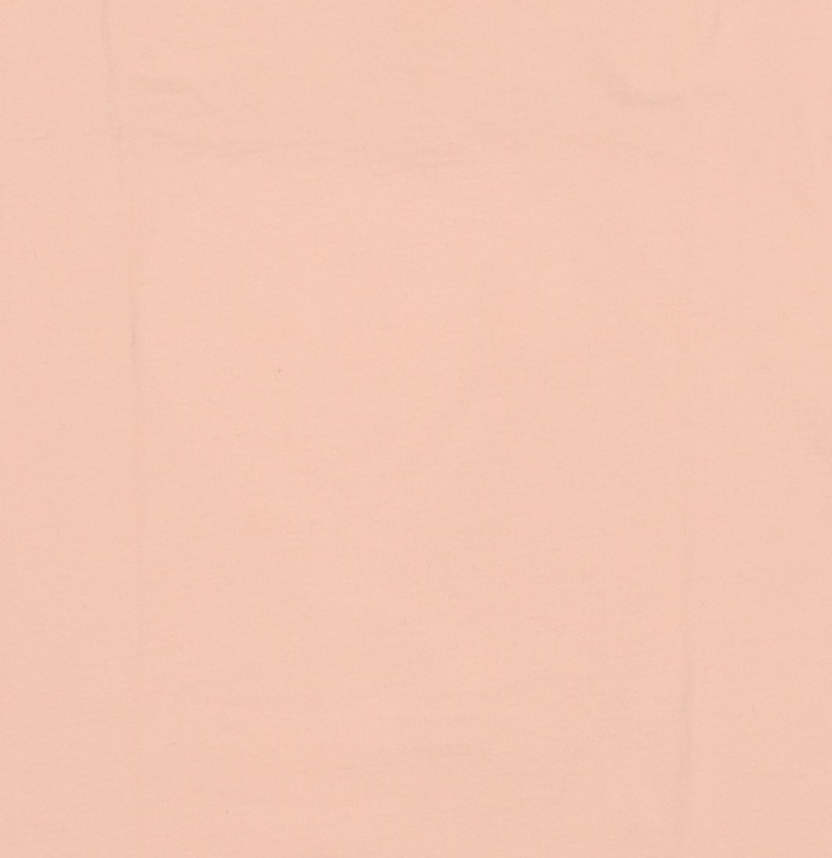플랙(PLAC) Uni Basic Round Neck T-Shirts_PK (WOMEN) (PWOG2RSL46U0R5) M
