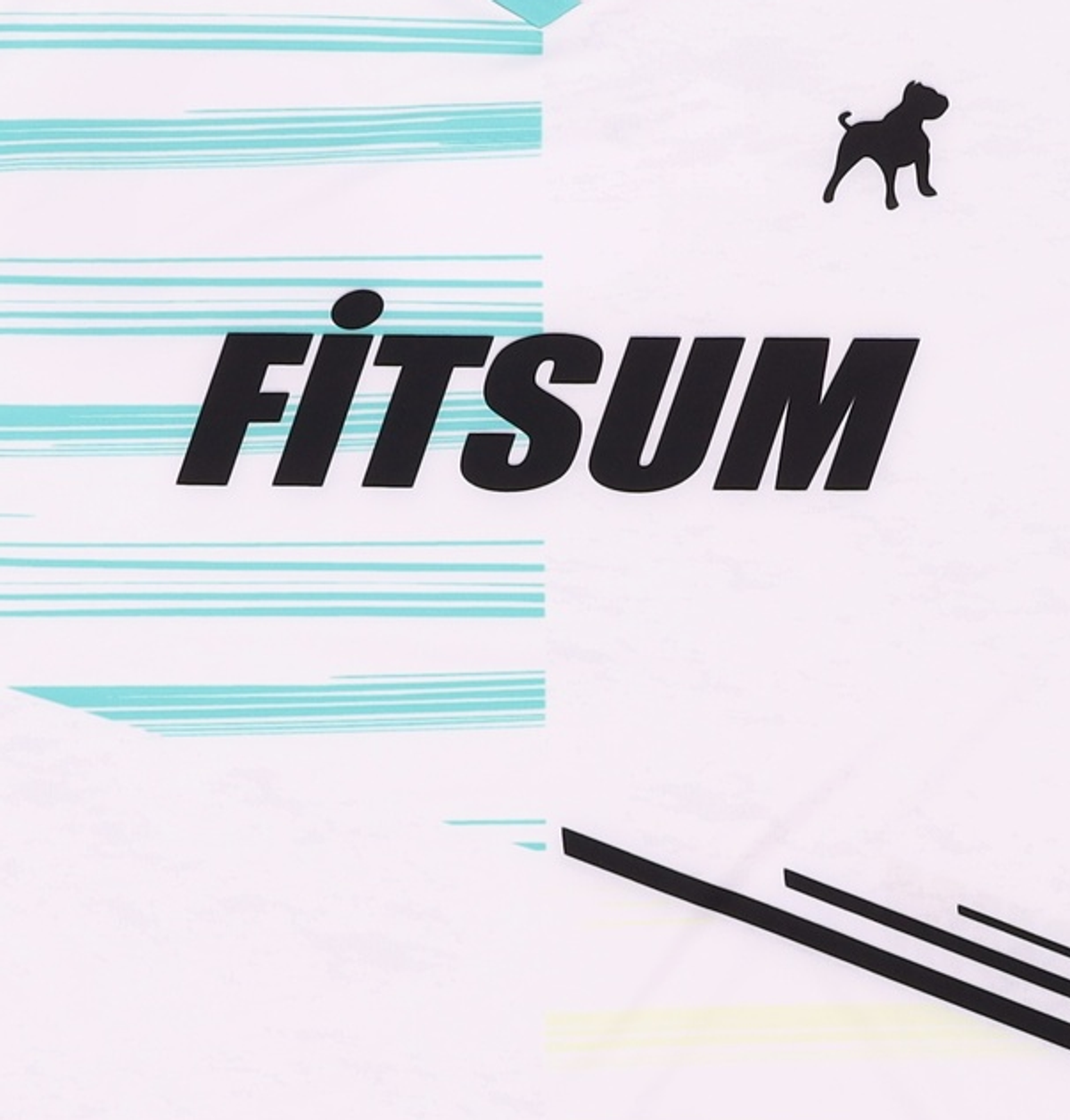 핏섬(FITSUM) 반소매 티셔츠 100
