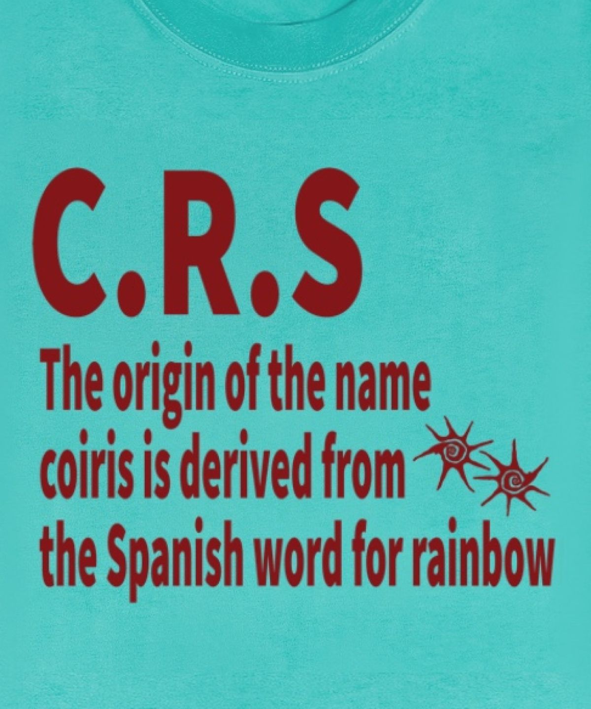 코이리스(COIRIS) CRS 비비드 민트 슬림핏 반팔 티