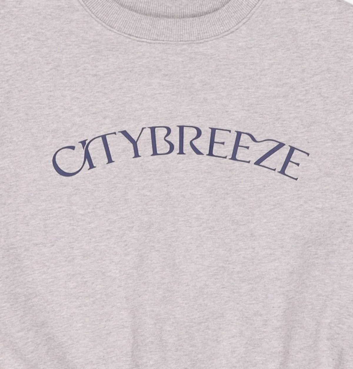 시티브리즈(CITYBREEZE) 맨투맨/스웨트셔츠 FREE