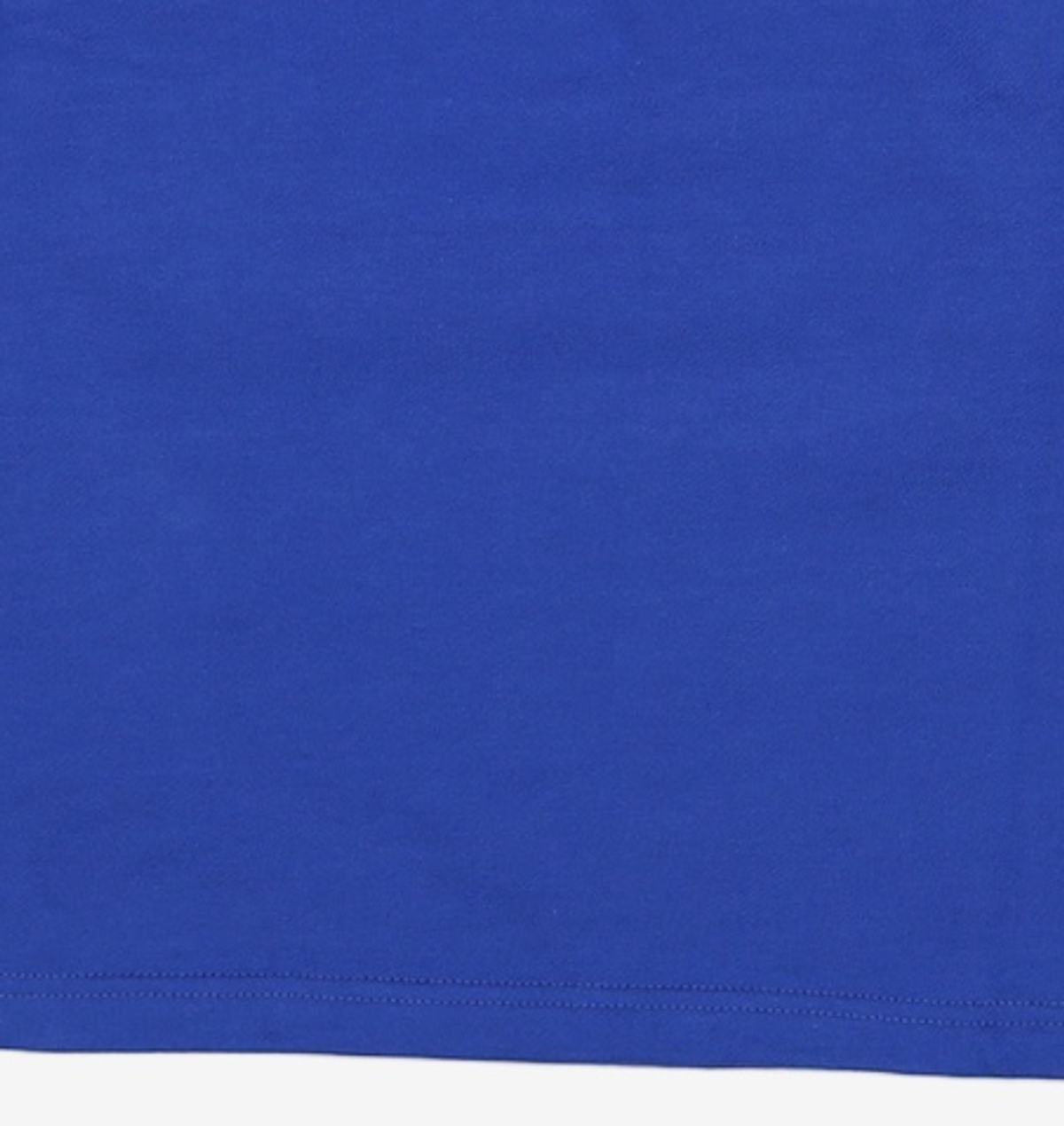 본챔스(BORN CHAMPS) LIVE LARGE LAYERED HOOD BLUE CEQAMHD05BL S