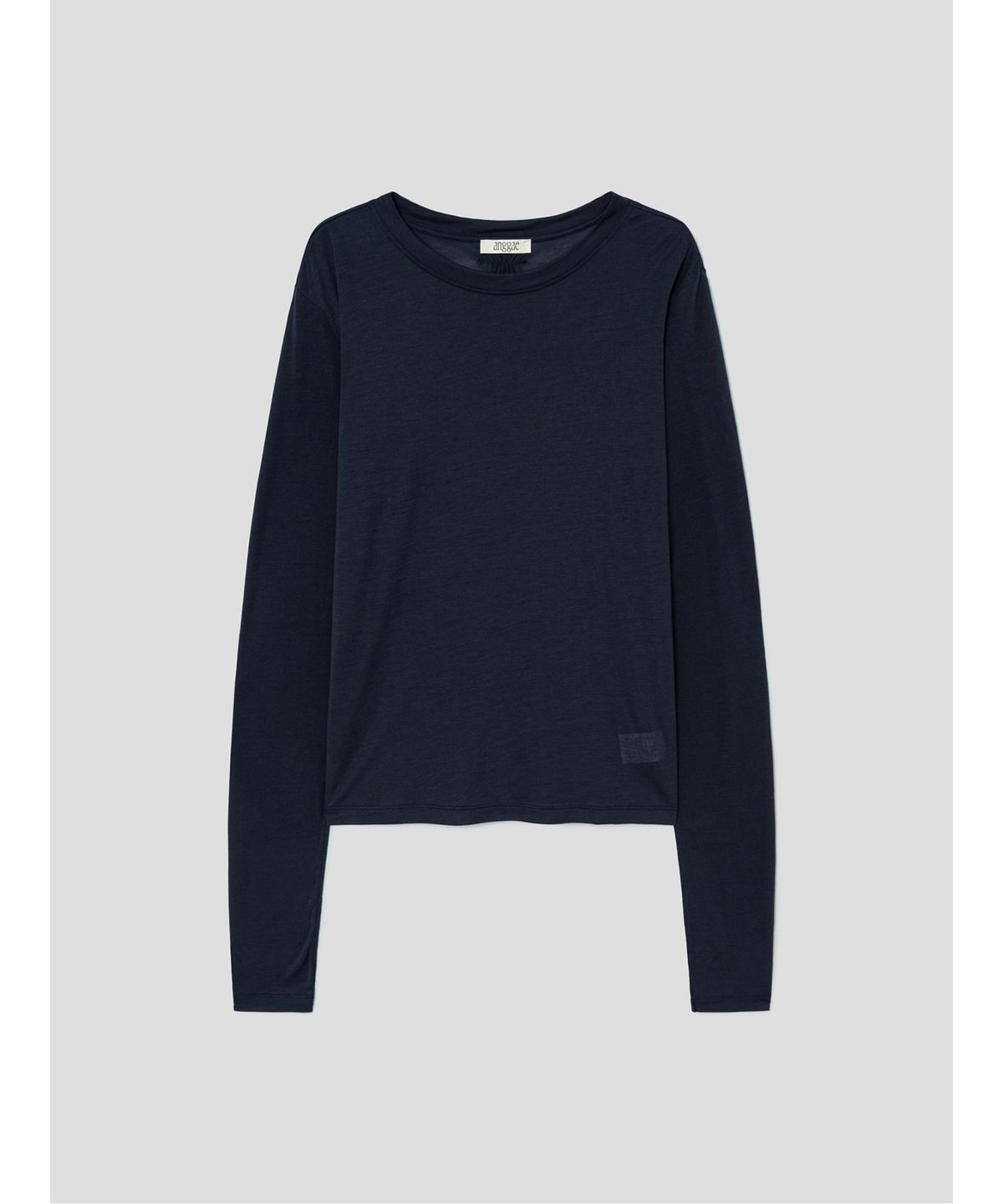 앙개(ANGGAE) Sheer TShirt  Navy
