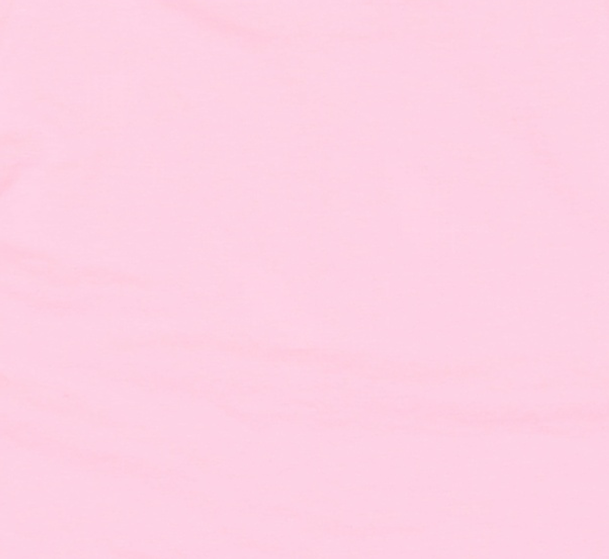 아카이브 볼드(ARCHIVE BOLD) 반소매 티셔츠 FREE