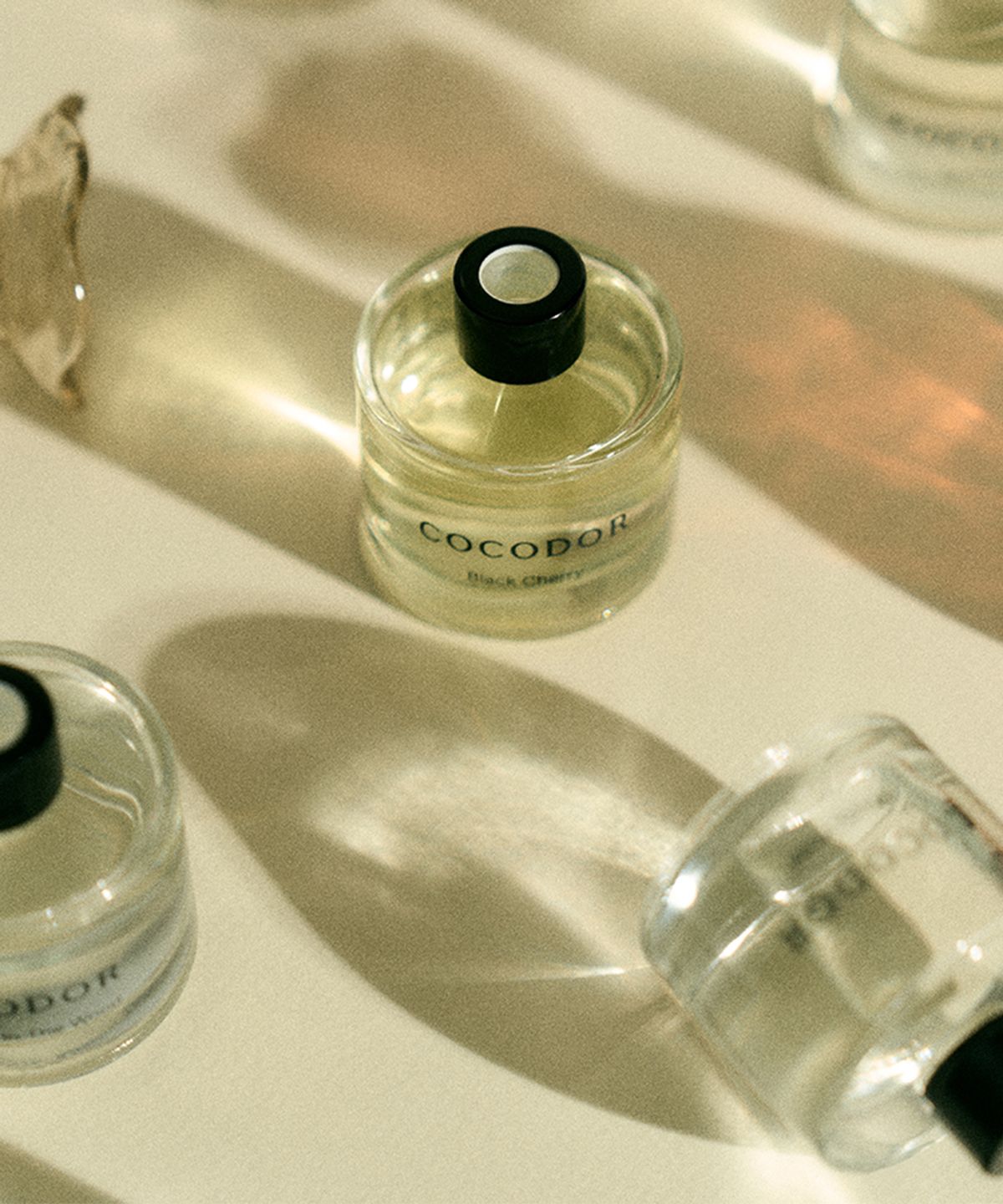 코코도르(COCODOR) 시그니처컬렉션 50ml 8개입 X 1개