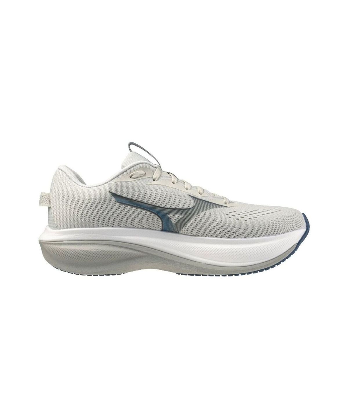 미즈노(MIZUNO) WAVE RIDER 30 SW_J1GM2621