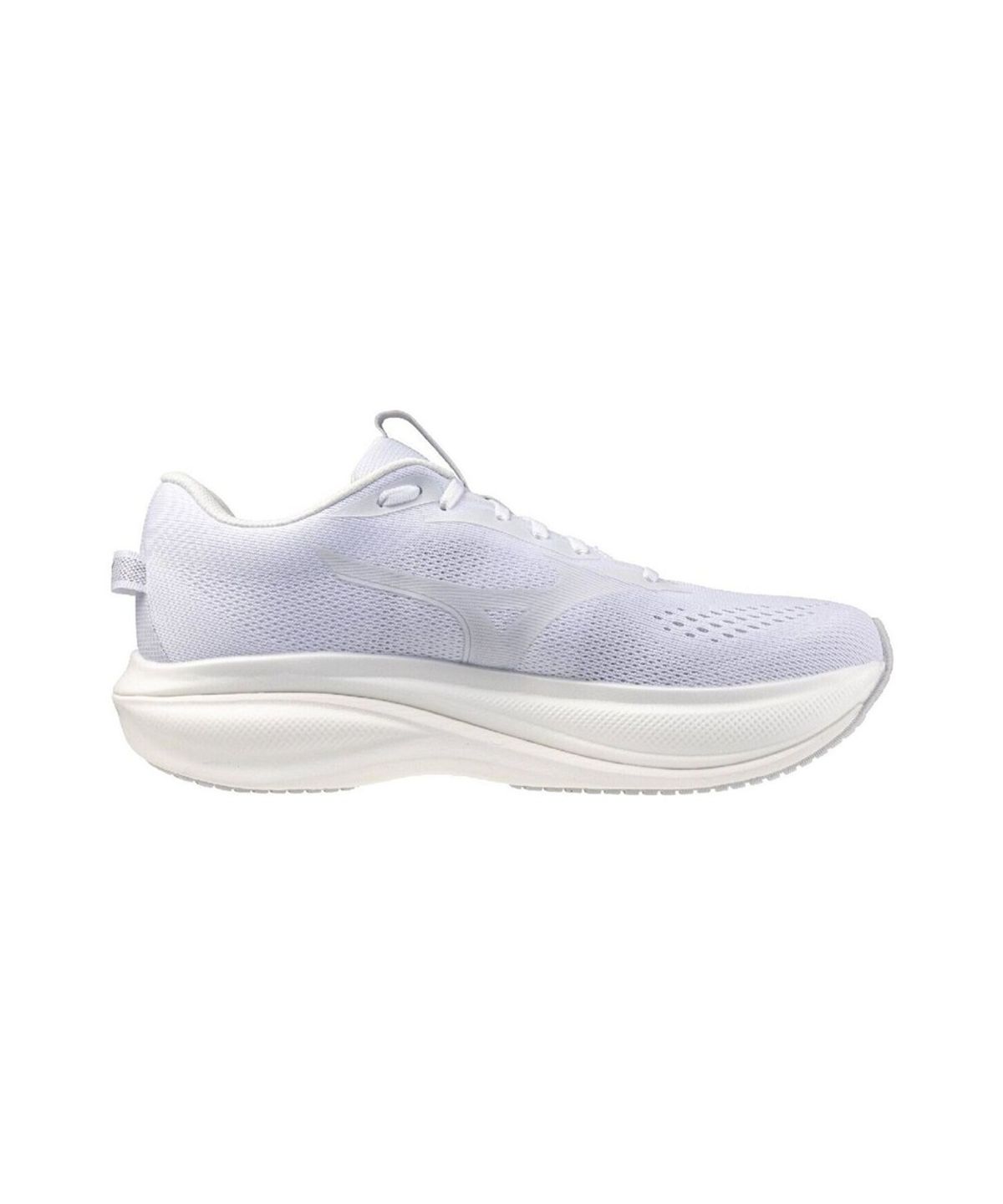 미즈노(MIZUNO) WAVE RIDER 30 SW_J1GU2621
