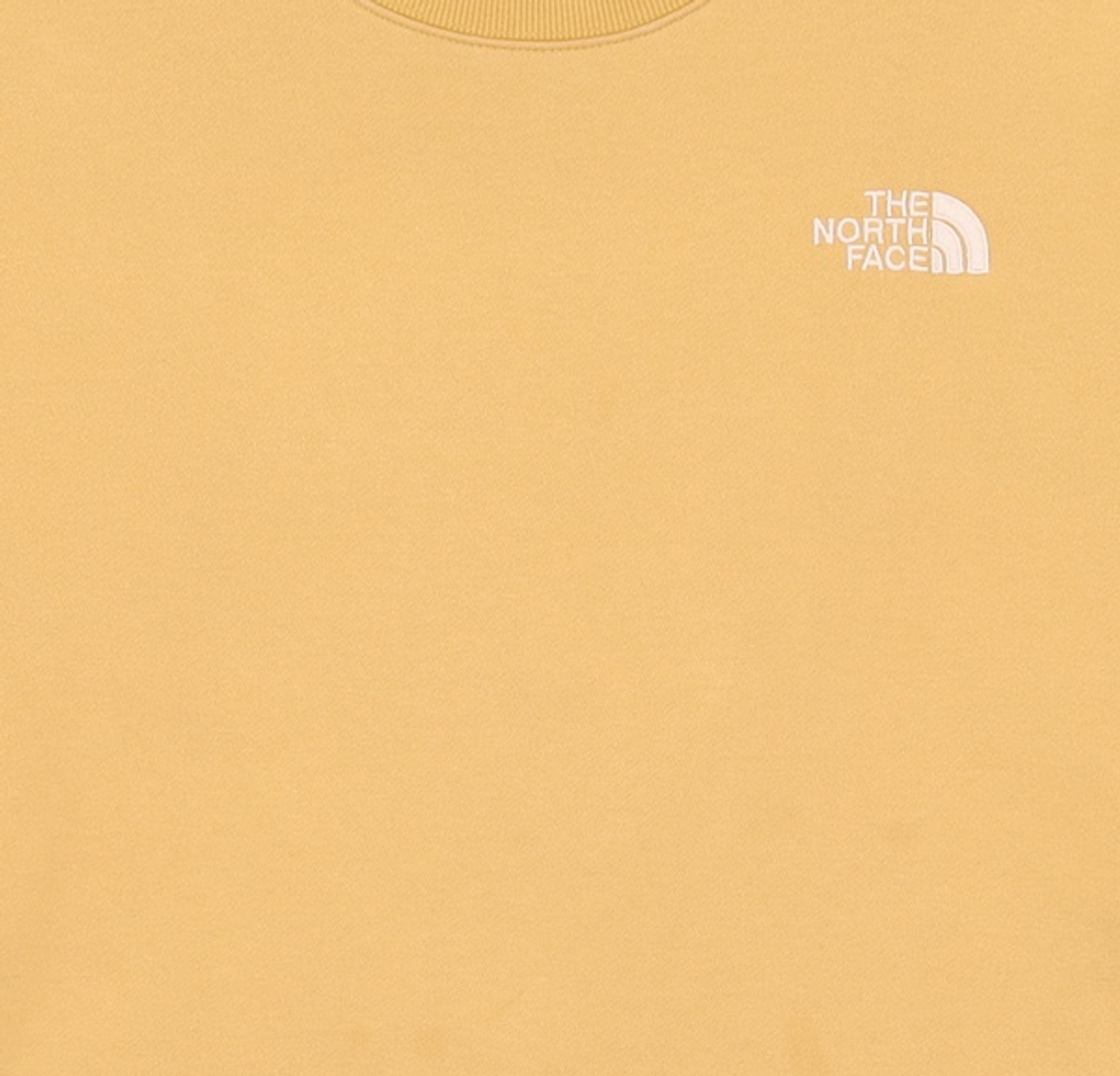 노스페이스(THE NORTH FACE) 맨투맨/스웨트셔츠 100