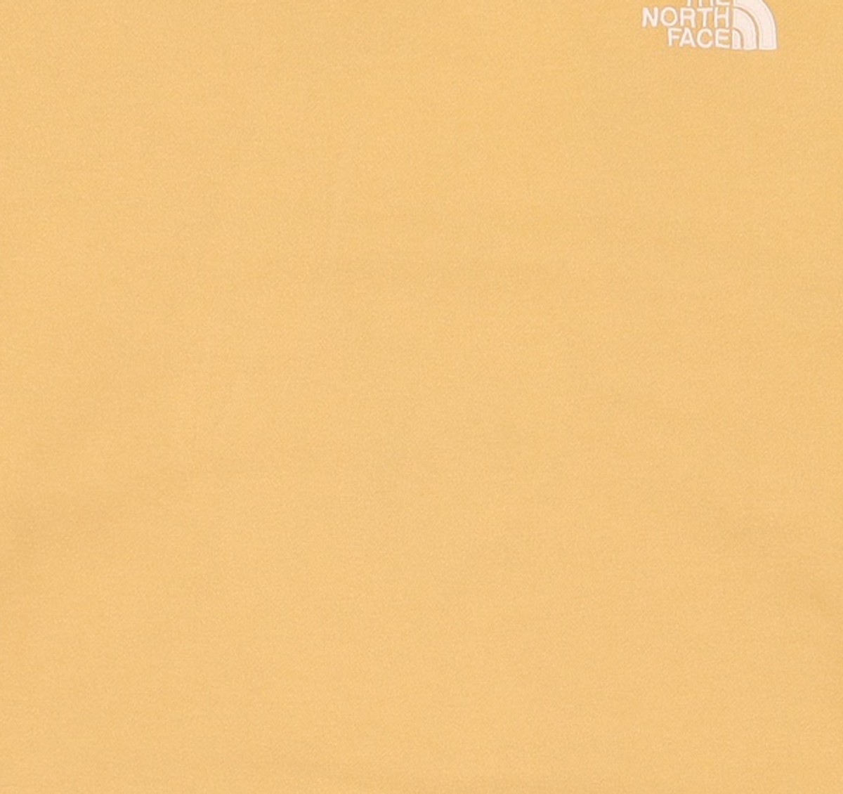노스페이스(THE NORTH FACE) 맨투맨/스웨트셔츠 100