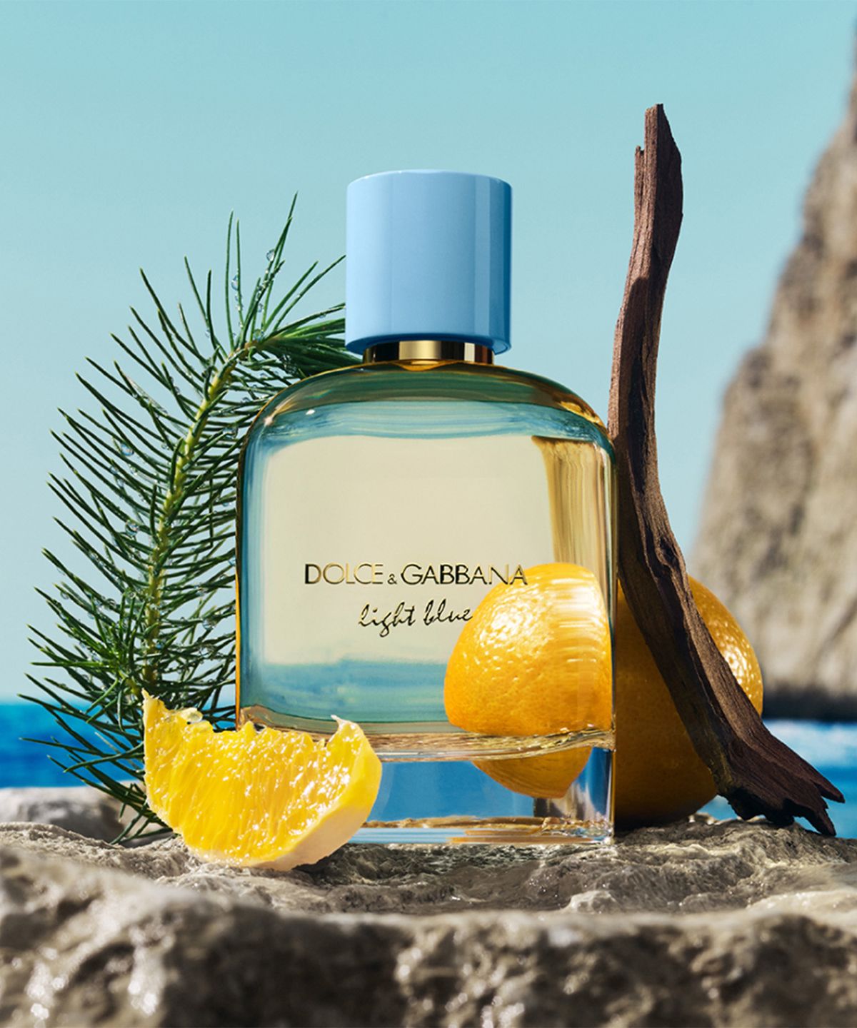 돌체앤가바나(DOLCE & GABBANA) 라이트 블루 뿌르 옴므 오 드 퍼퓸 100ml