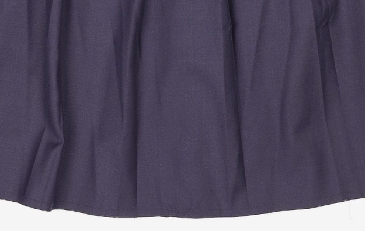 라츠유(LOTSYOU) First-date Pleats Skirt Navy o/s