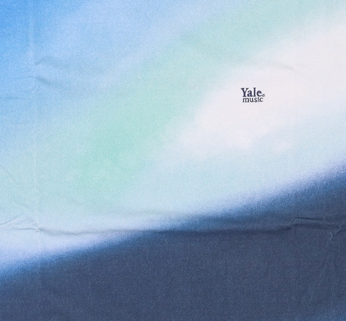 예일(YALE) 반소매 티셔츠 XL