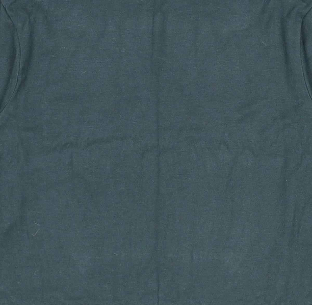 바이바이섭(BIBYSEOB) NECK POINT POLA GREEN FREE