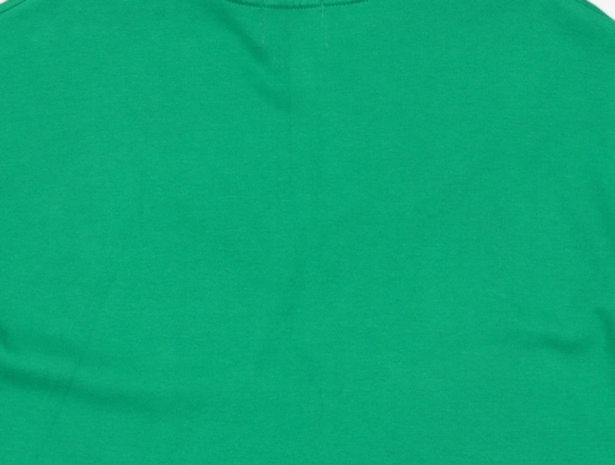 엽페(YUPPE) color neck T-shirts_green FREE
