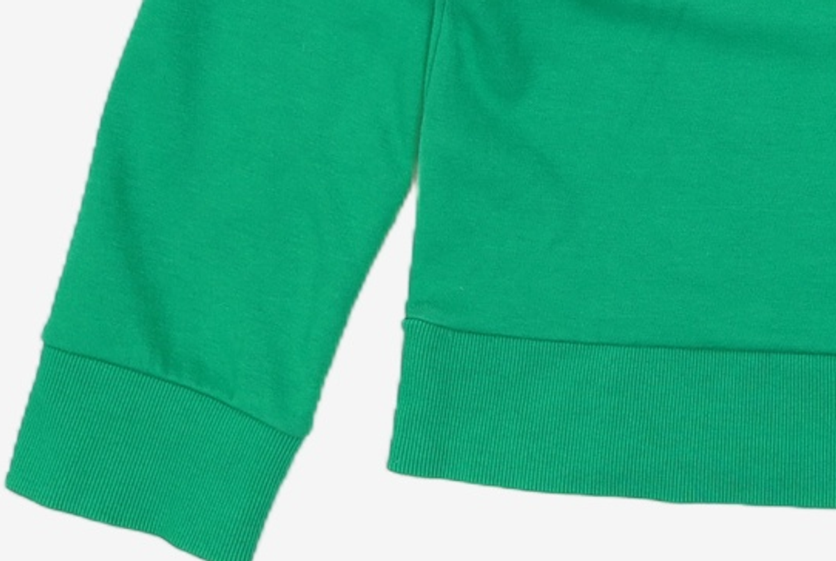 엽페(YUPPE) color neck T-shirts_green FREE
