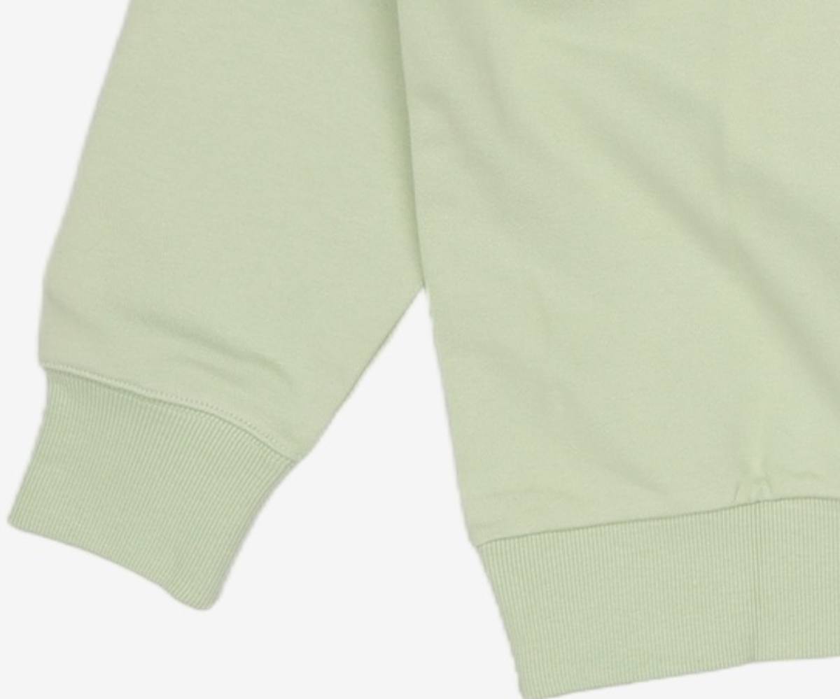 노스페이스(THE NORTH FACE) NM5MP07L 화이트라벨 미니 로고 EX 스웻셔츠 90