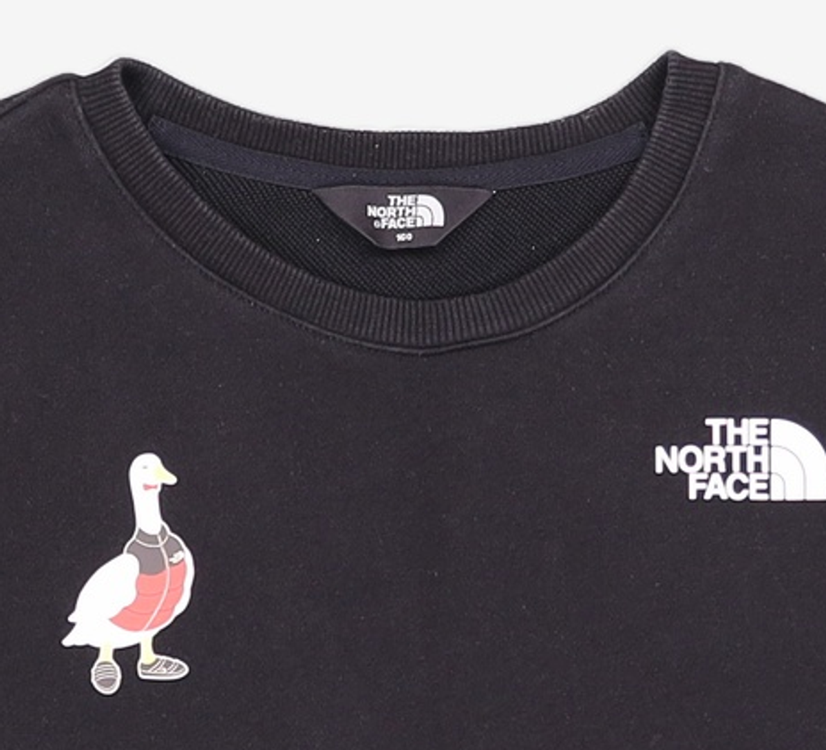 노스페이스 키즈(THE NORTH FACE KIDS) 맨투맨/스웨트셔츠 160