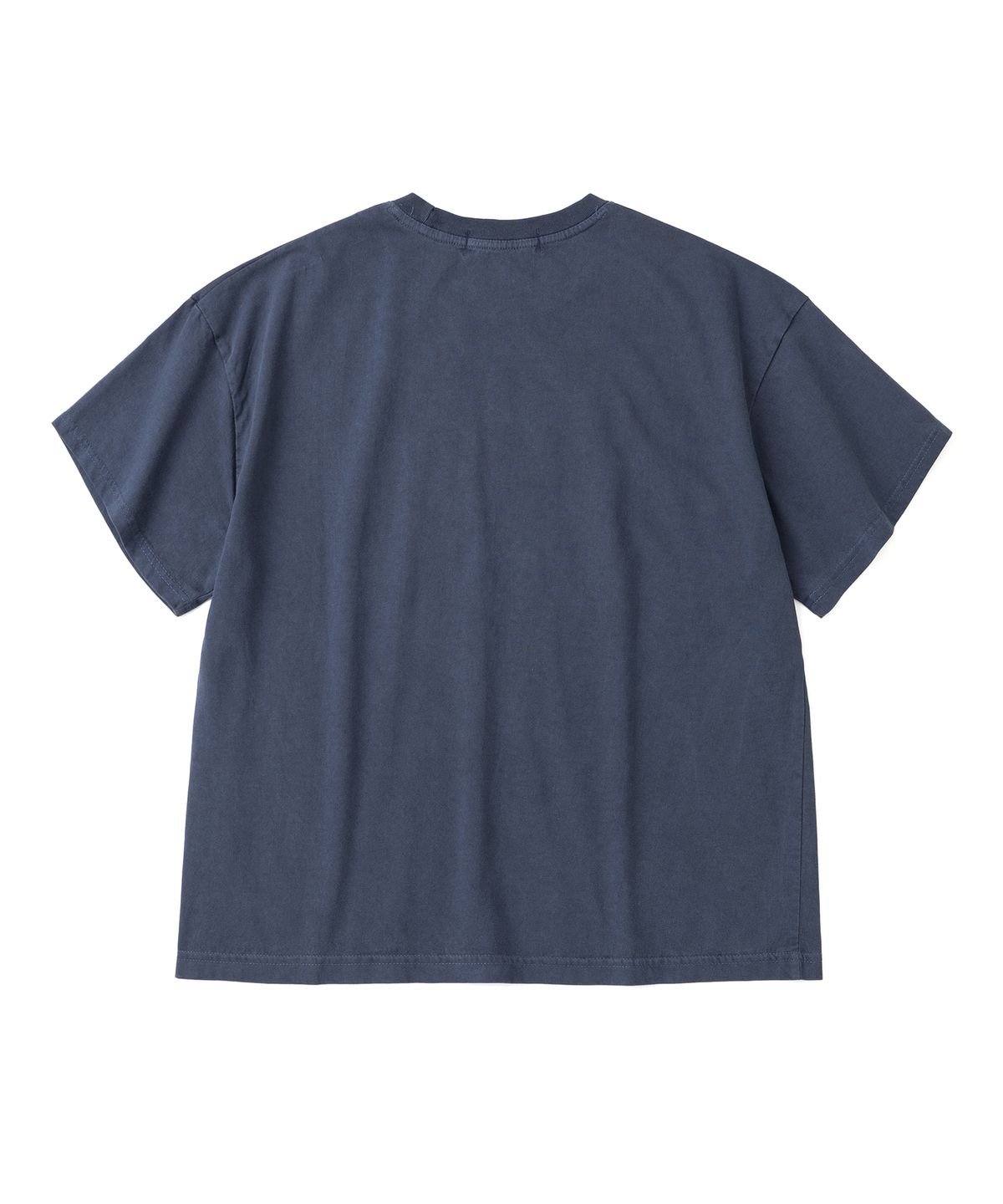 니티드(KNITTED) (UNISEX) 피그먼트 팜트리 그래픽 티셔츠 CROP BLUE
