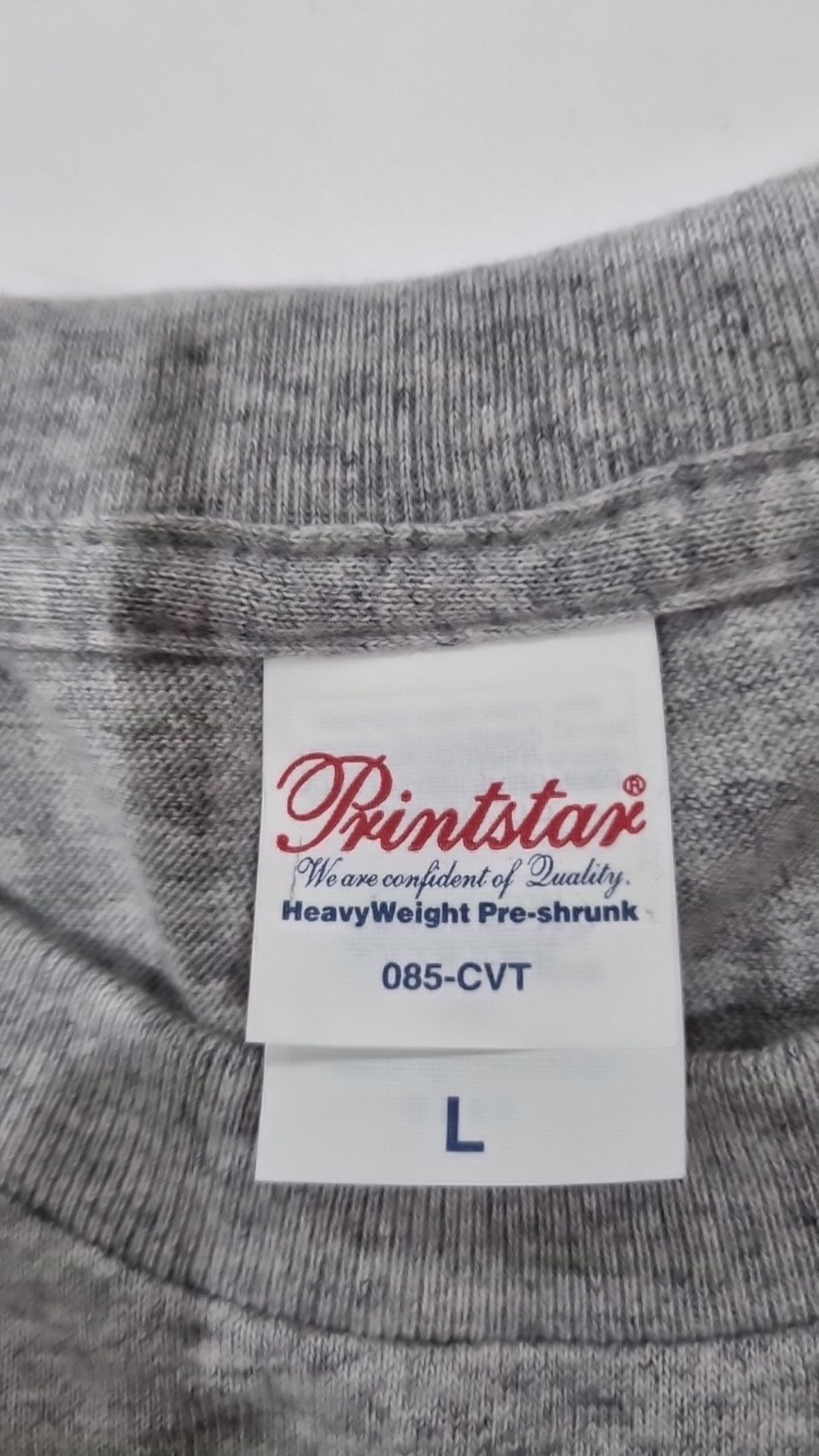 프린트스타(PRINTSTAR) 반소매 티셔츠 L