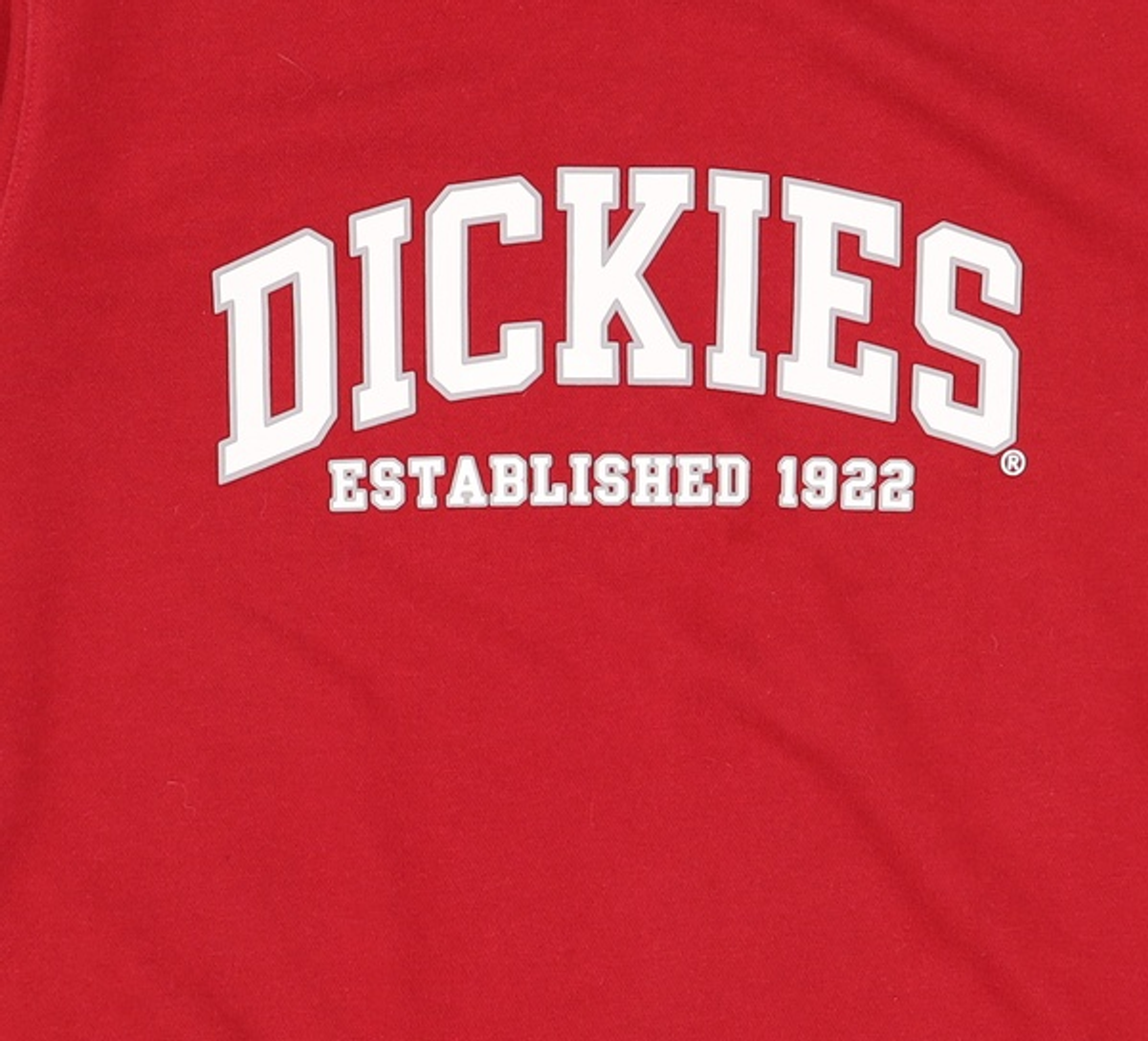 디키즈(DICKIES) 맨투맨/스웨트셔츠 L