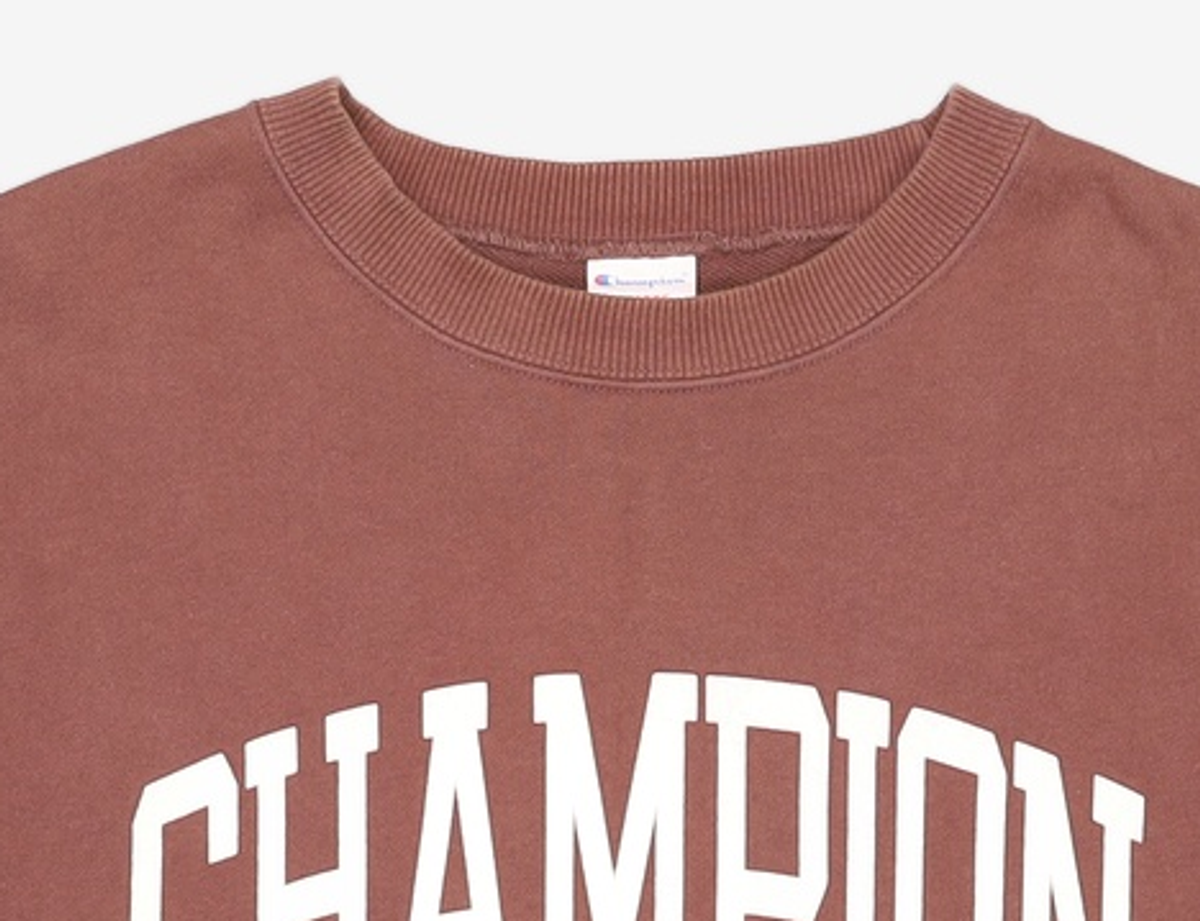 챔피온(CHAMPION) 맨투맨/스웨트셔츠 XL