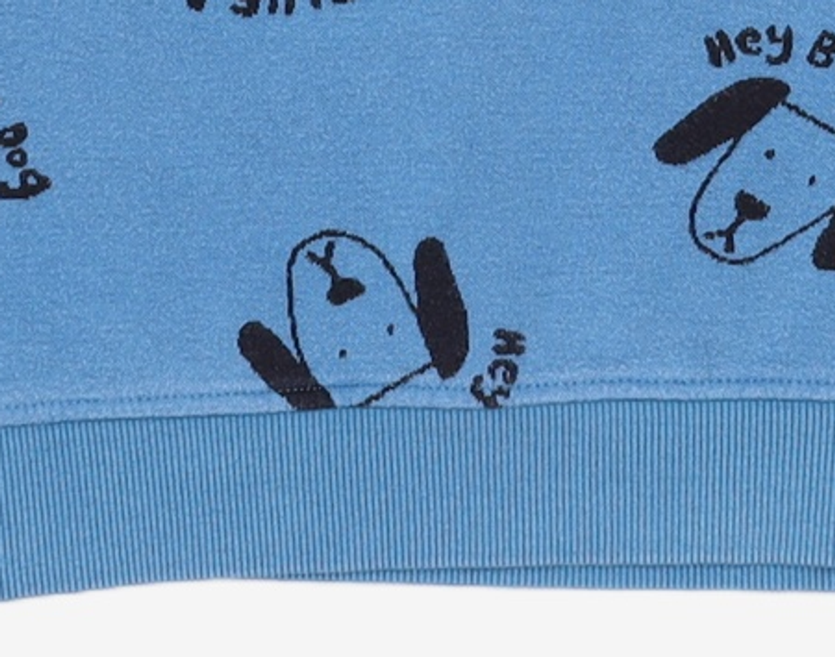 블루독(BLUEDOG) 맨투맨/스웨트셔츠 120