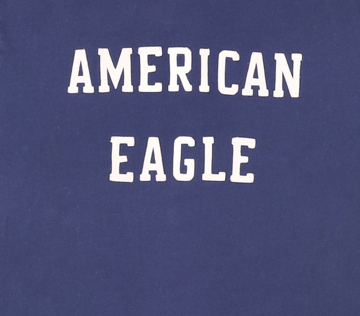 아메리칸이글(AMERICANEAGLE) 긴소매 티셔츠 L/G/G