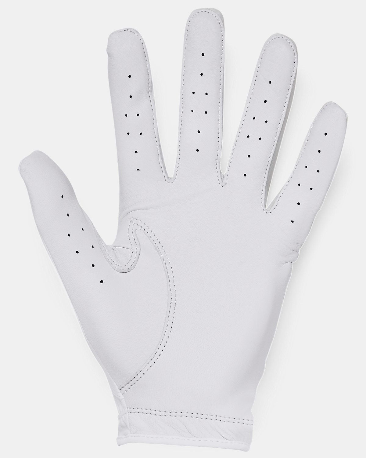 언더아머(UNDERARMOUR) 남성 UA 아이소-칠 골프 글러브 1370277-100