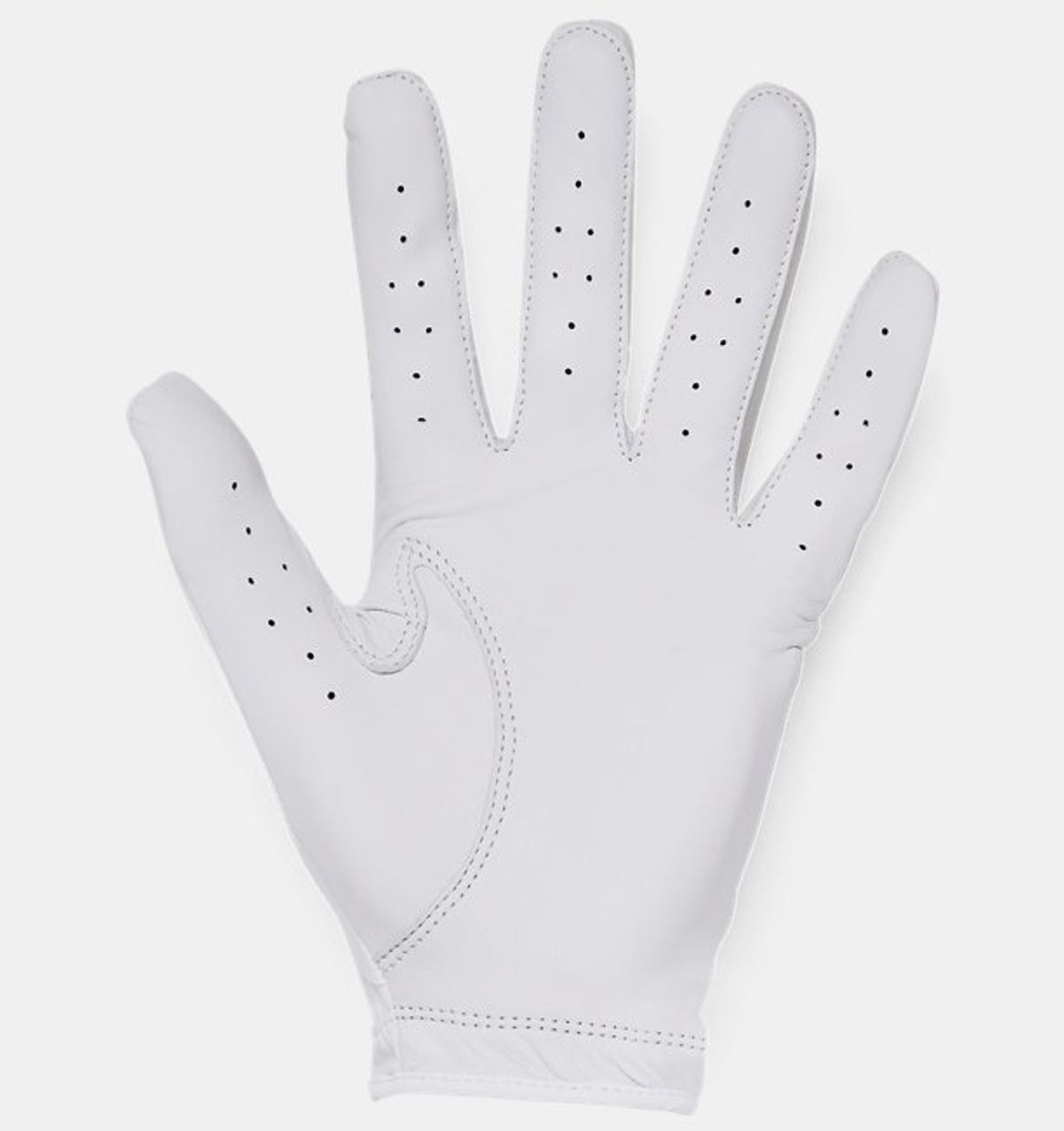 언더아머(UNDERARMOUR) 남성 UA 아이소-칠 골프 글러브 1370277-100