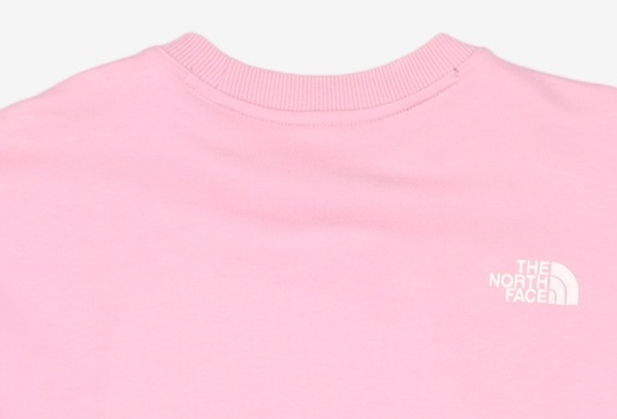 노스페이스(THE NORTH FACE) 맨투맨/스웨트셔츠 M