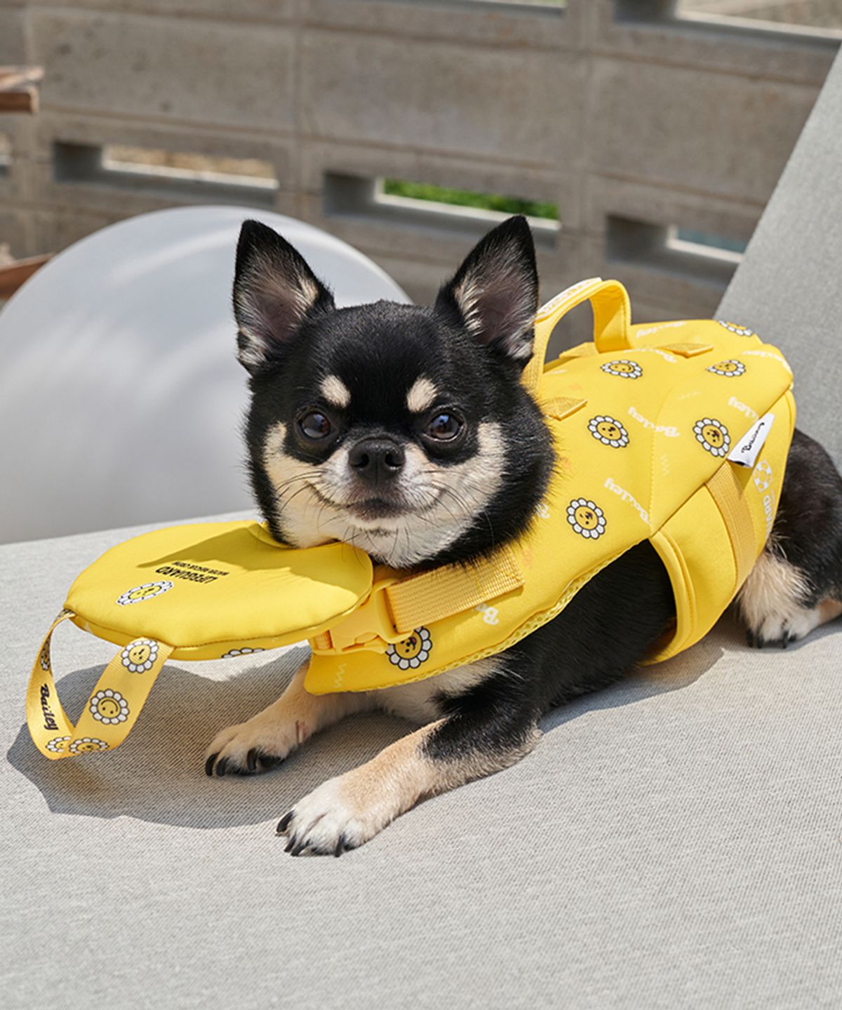 베일리(BAILEY) 강아지 수영복 테디 구명조끼 옐로우