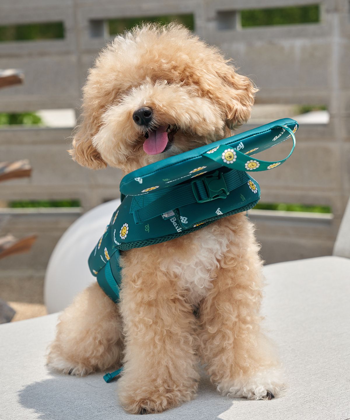 베일리(BAILEY) 강아지 수영복 테디 구명조끼 그린