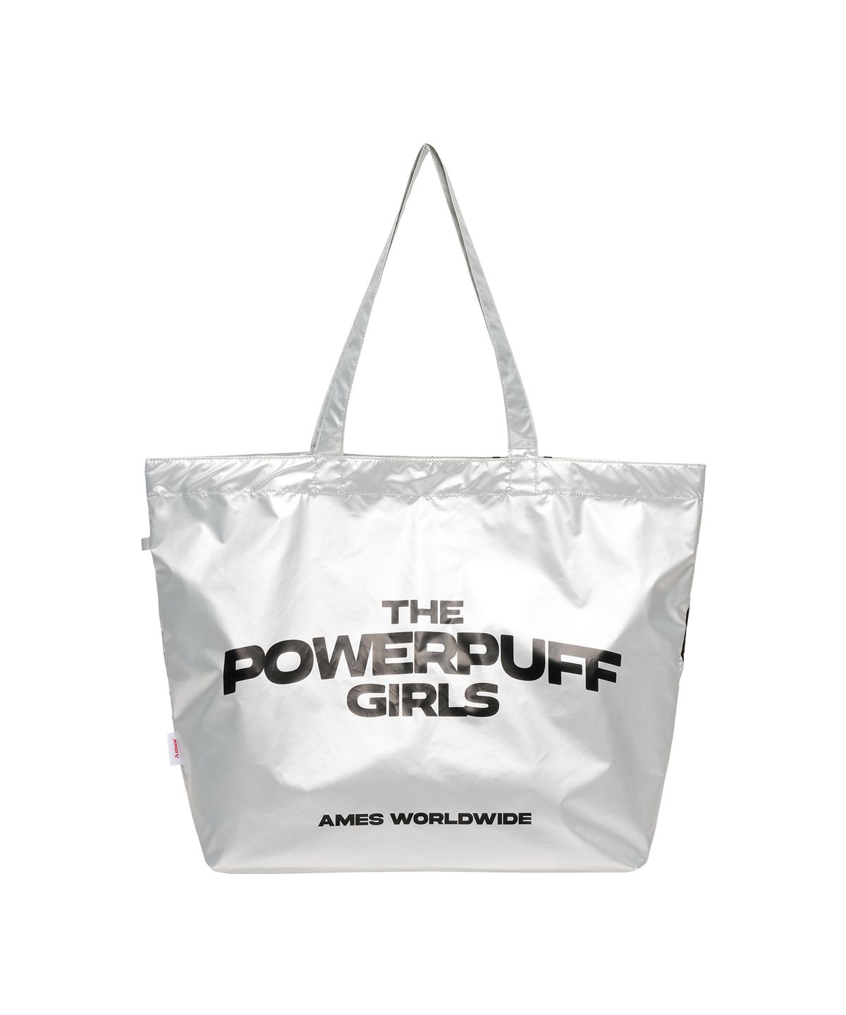 아메스 월드와이드(AMES-WORLDWIDE) PPG GLOSSY BIG BAG SILVER