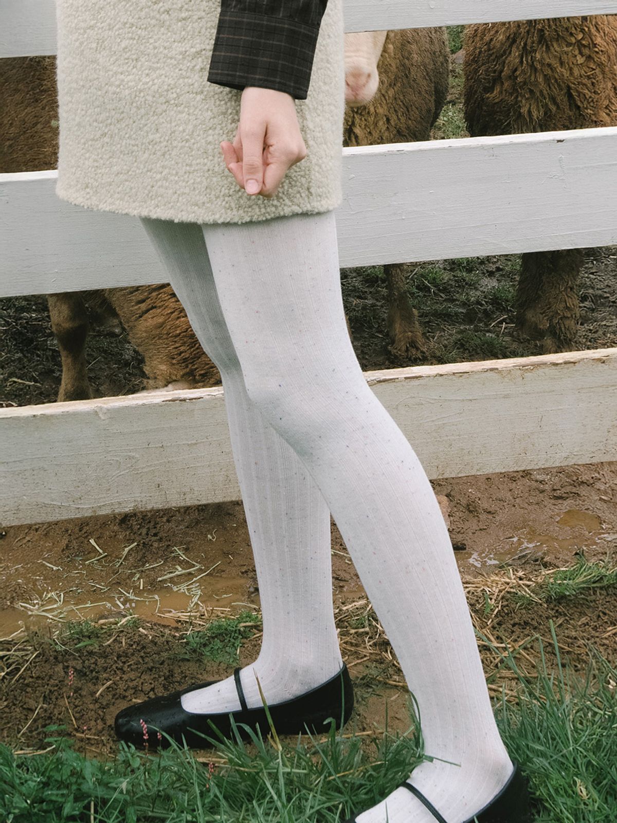 엘씨브이(LCVE) DOT POINT COTTON TIGHTS [3COLORS]
