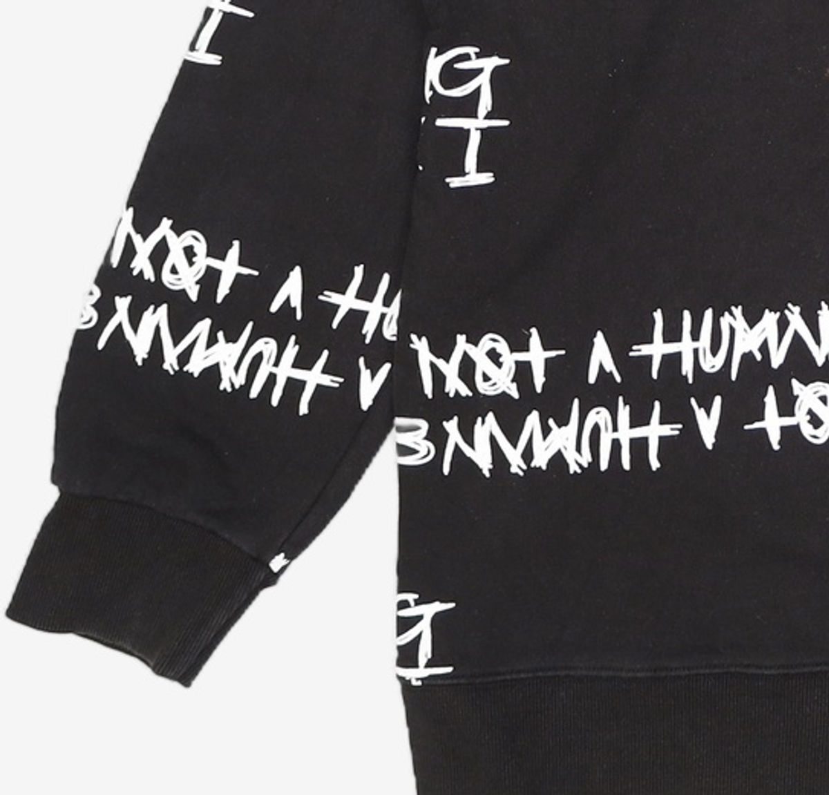 아임낫어휴먼비잉(I AM NOT A HUMAN BEING) 후드 티셔츠 XL