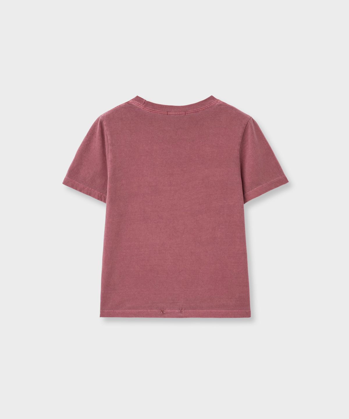 바니쉬먼트(VANISHMENT) Flag tee_wine
