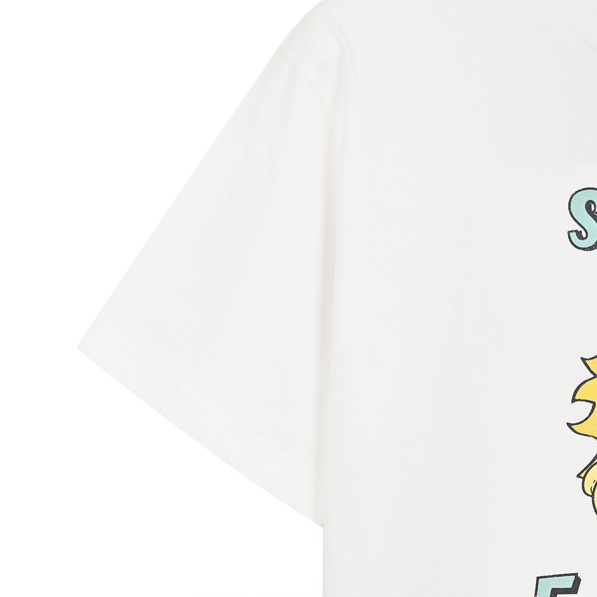 프룻오브더룸(FRUIT OF THE LOOM) 피그먼트 프루티 피크닉 반팔티셔츠(WHITE)