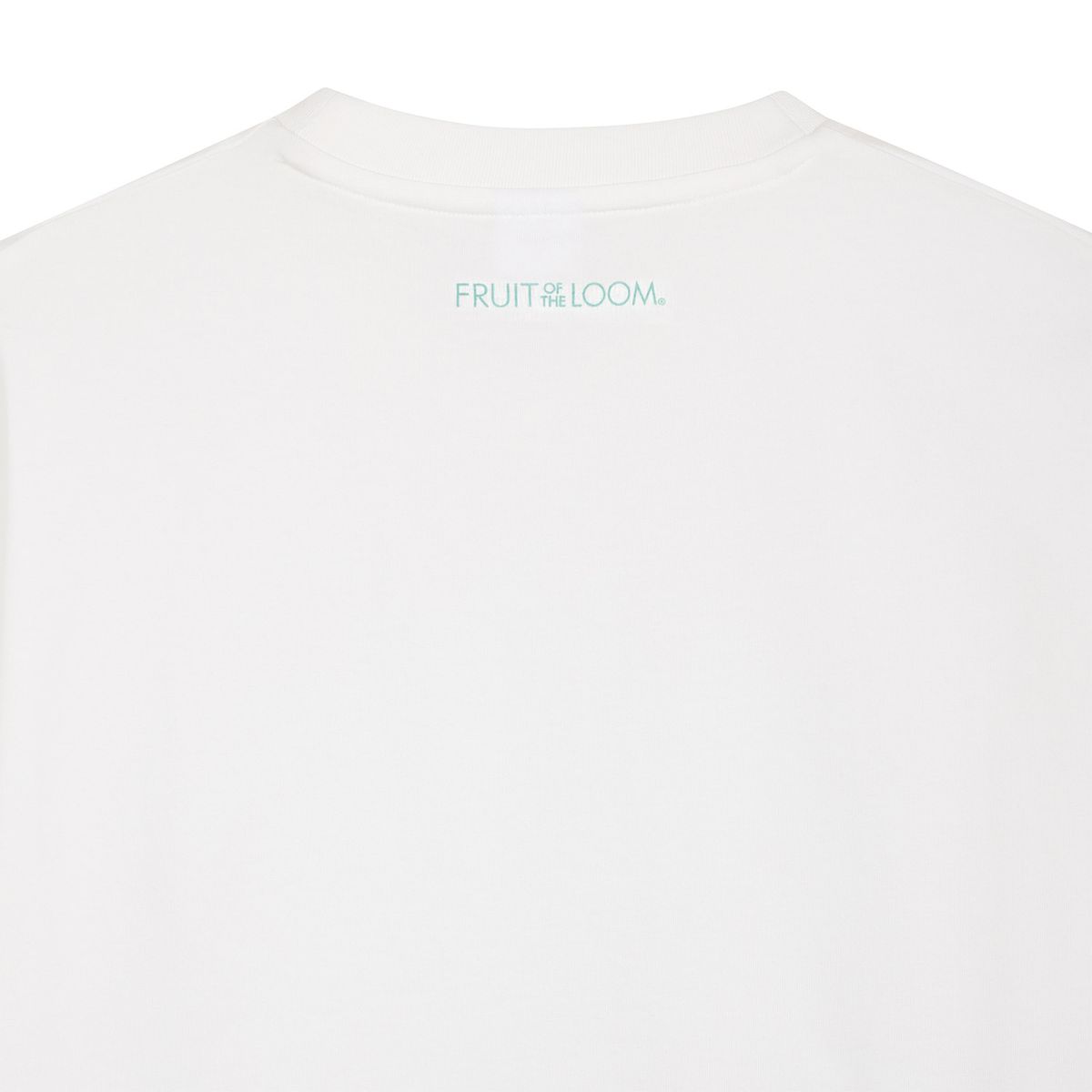 프룻오브더룸(FRUIT OF THE LOOM) 피그먼트 프루티 피크닉 반팔티셔츠(WHITE)