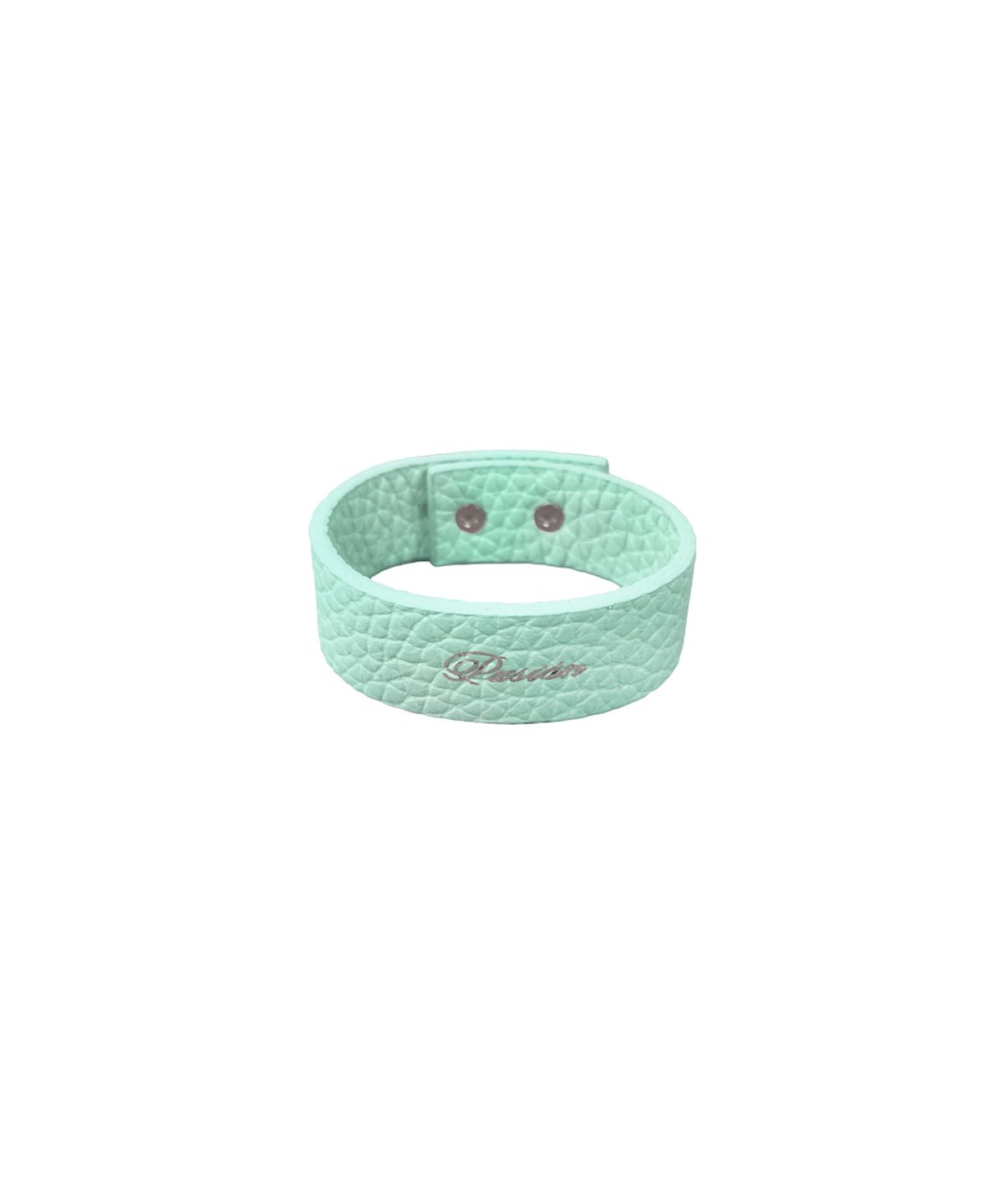 파시온(PASION) 팔레트 링크 팔찌_민트 Palette Link Bracelet_ Mint