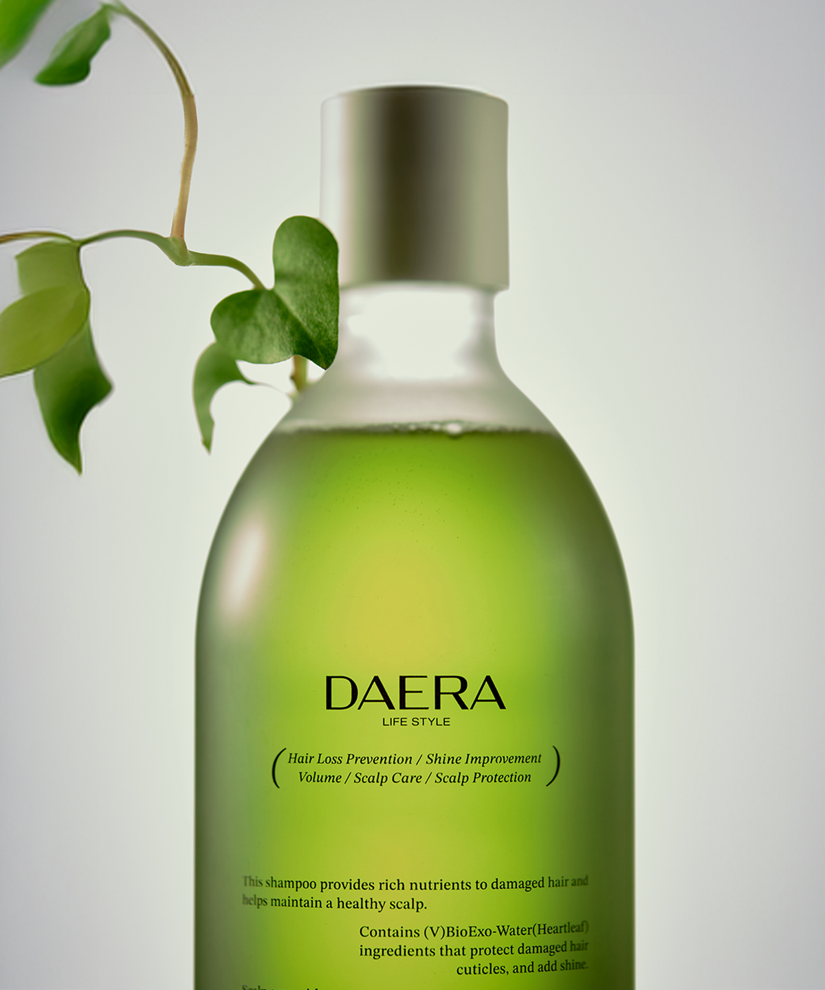대라(DAERA) 라이프 그린 엑소 샴푸 300ml