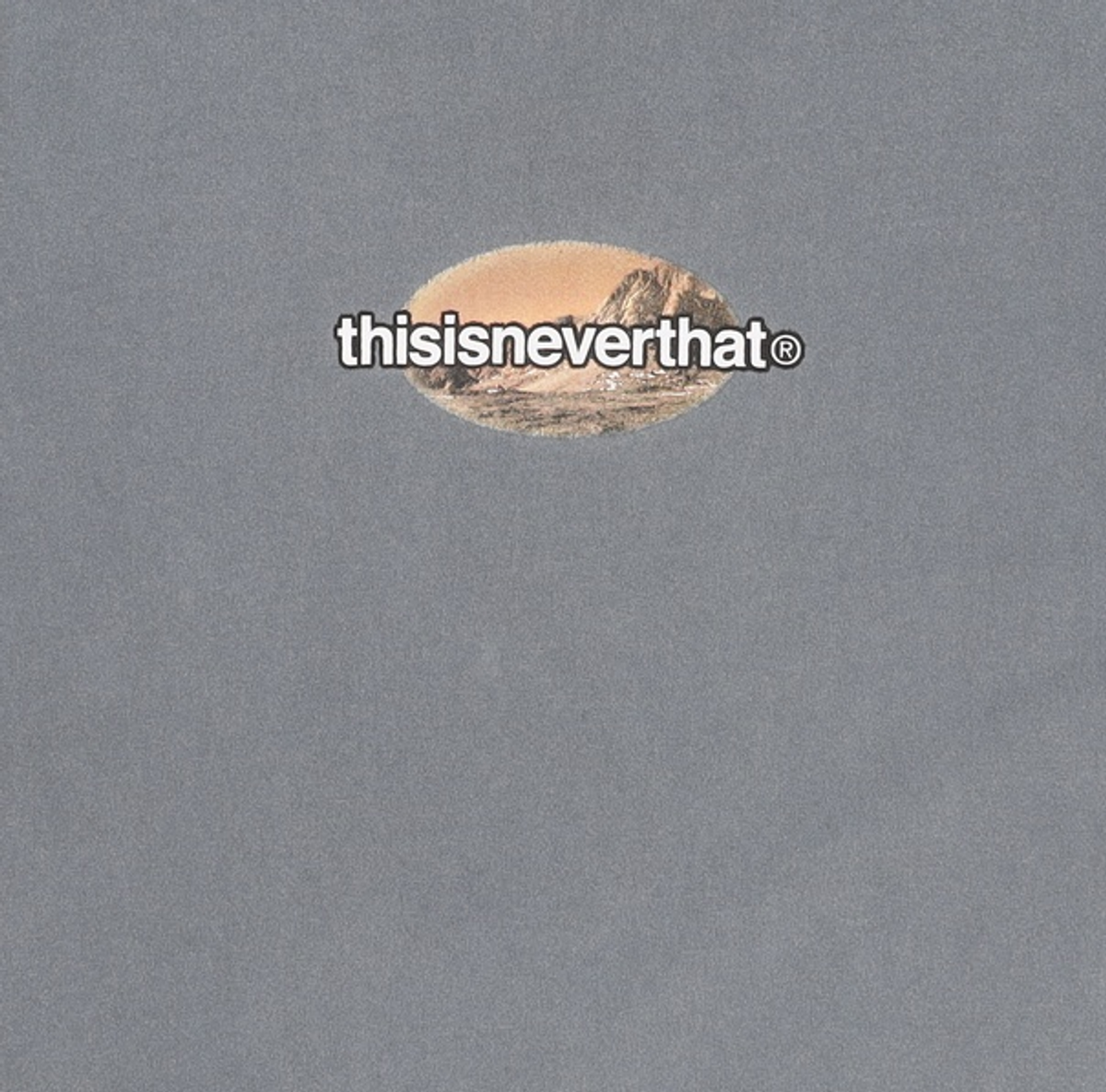 디스이즈네버댓(THISISNEVERTHAT) 반소매 티셔츠 XL