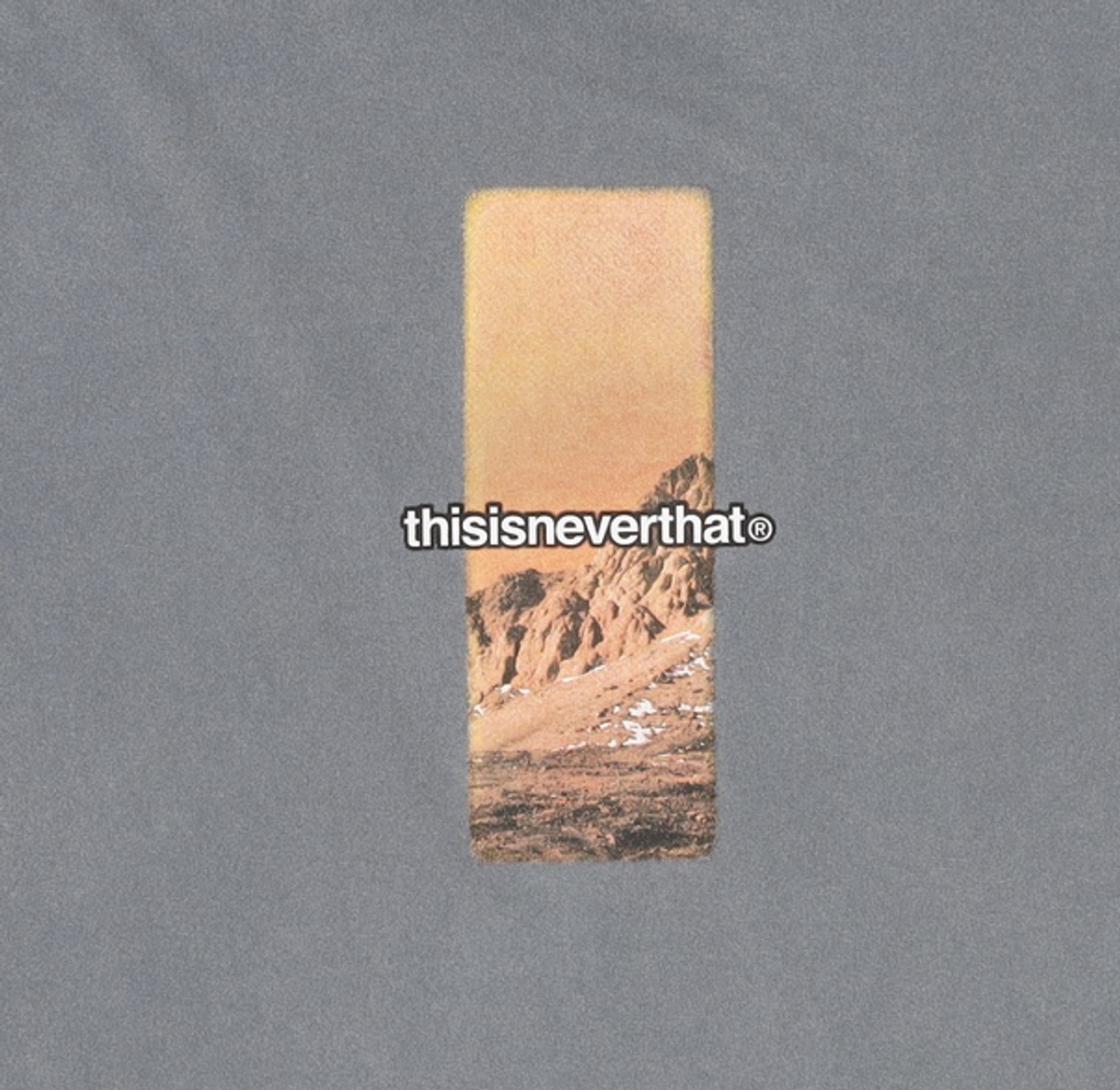 디스이즈네버댓(THISISNEVERTHAT) 반소매 티셔츠 XL