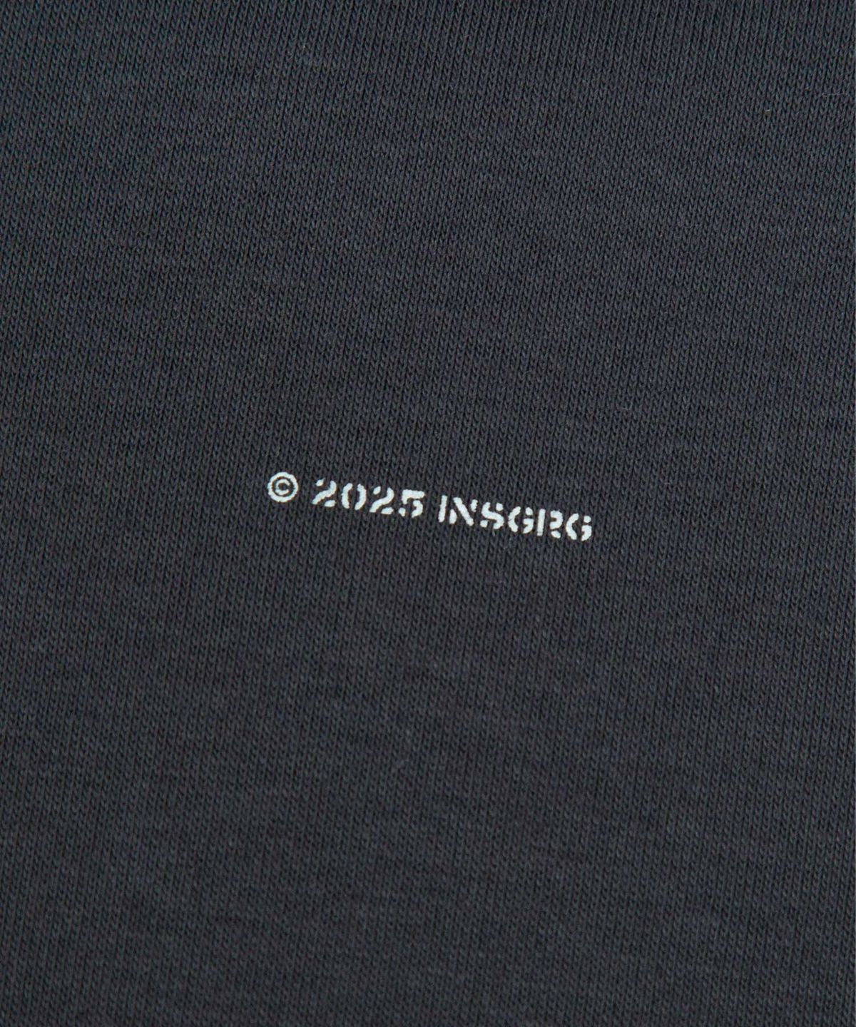인세인개러지(INSANEGARAGE) INSANE BABY CROP T-SHIRT_WASHED BLACK