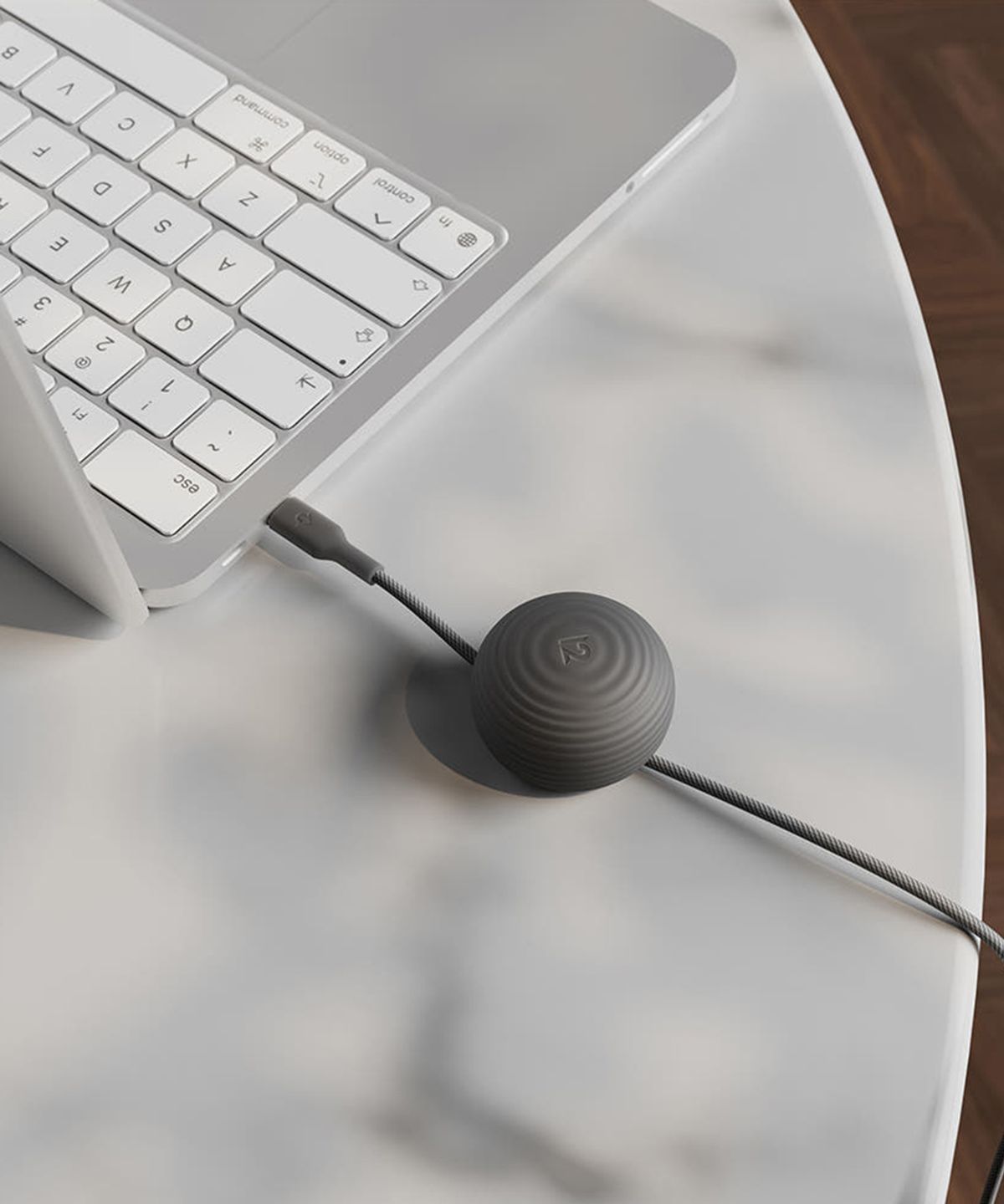 트웰브사우스(TWELVE SOUTH) 케이블스테이 USB-C 케이블 선 정리 홀더
