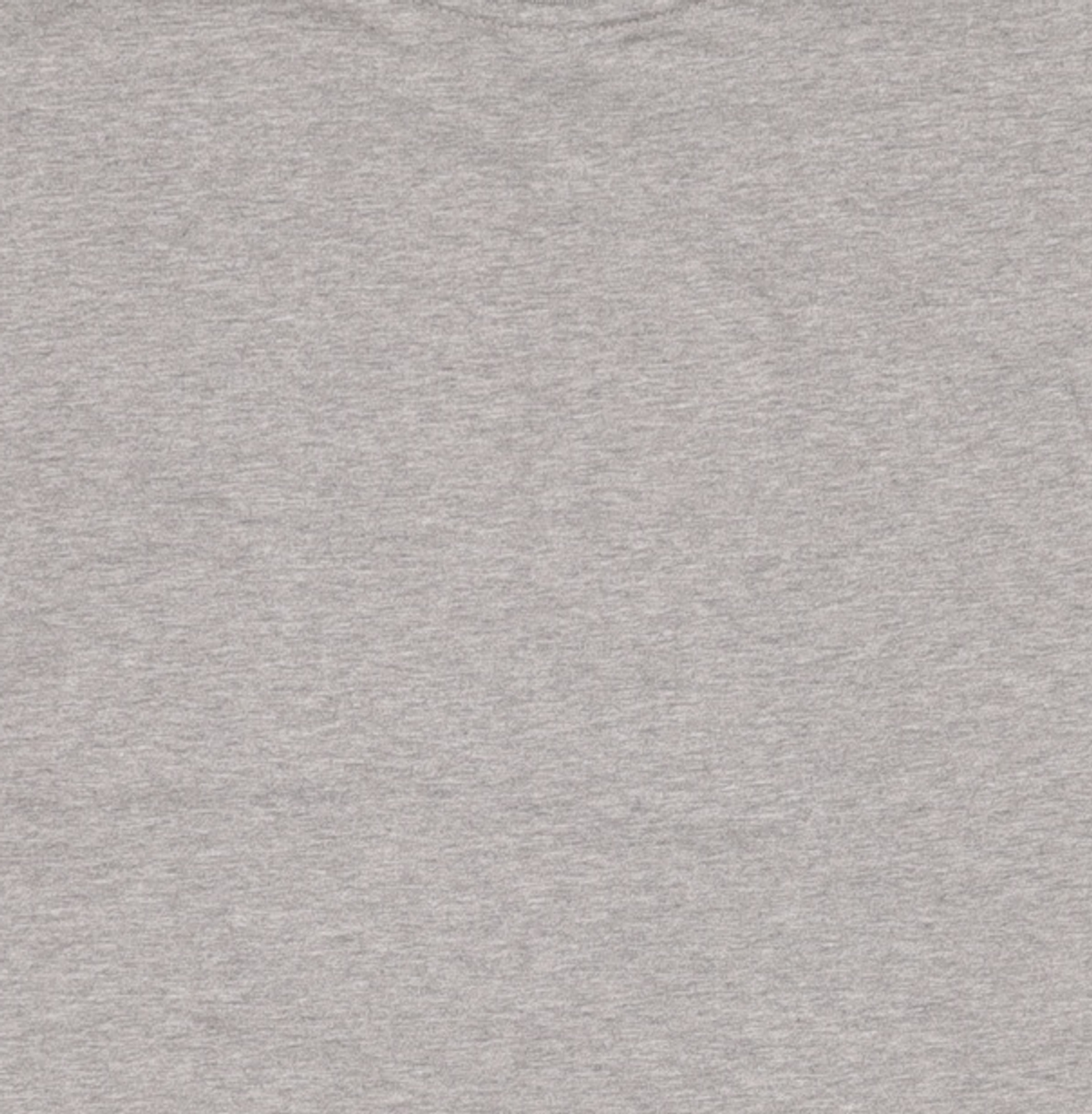 브랜디멜빌(BRANDY MELVILLE) 반소매 티셔츠 FREE