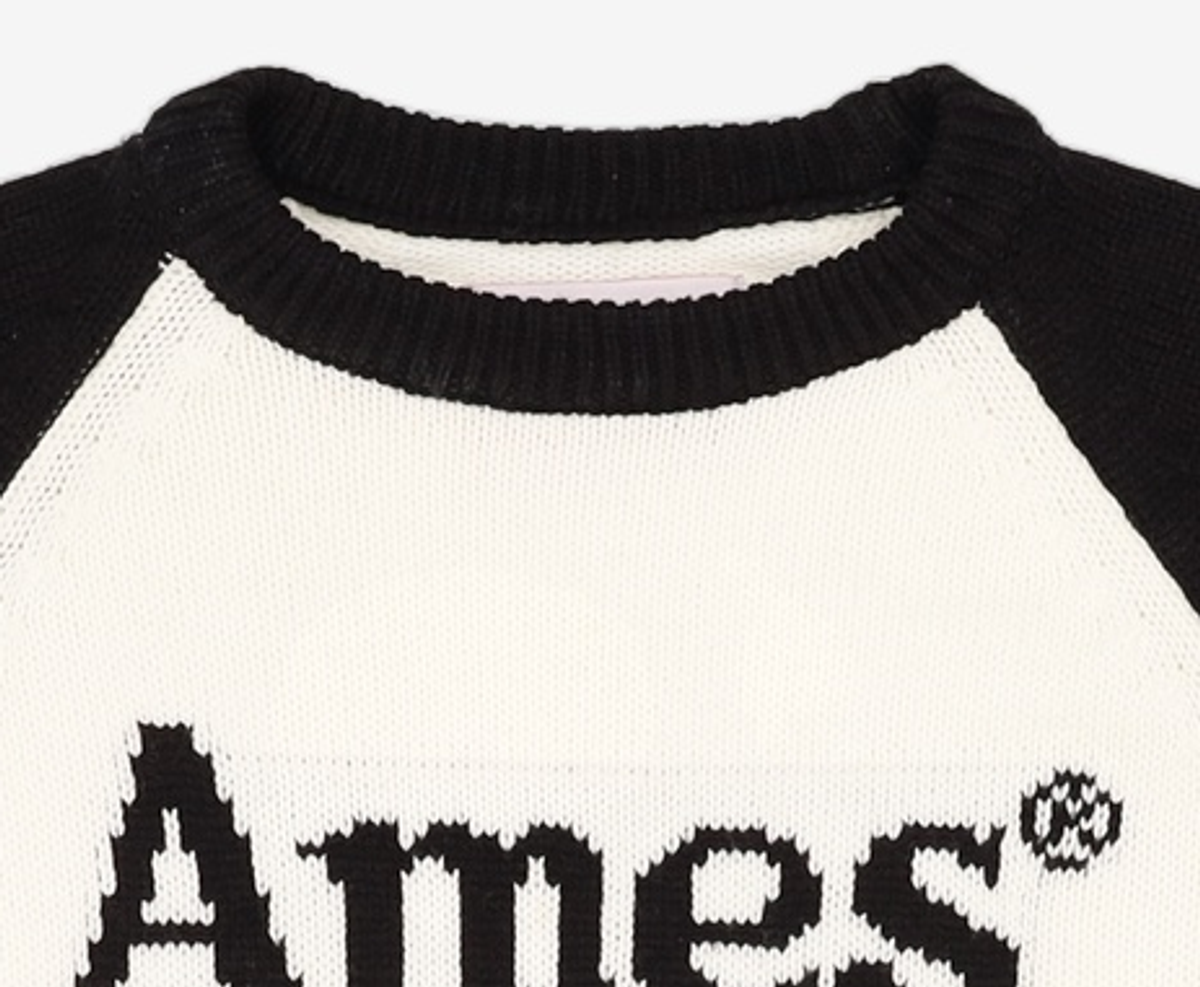 아메스 월드와이드(AMES-WORLDWIDE) 니트/스웨터 C