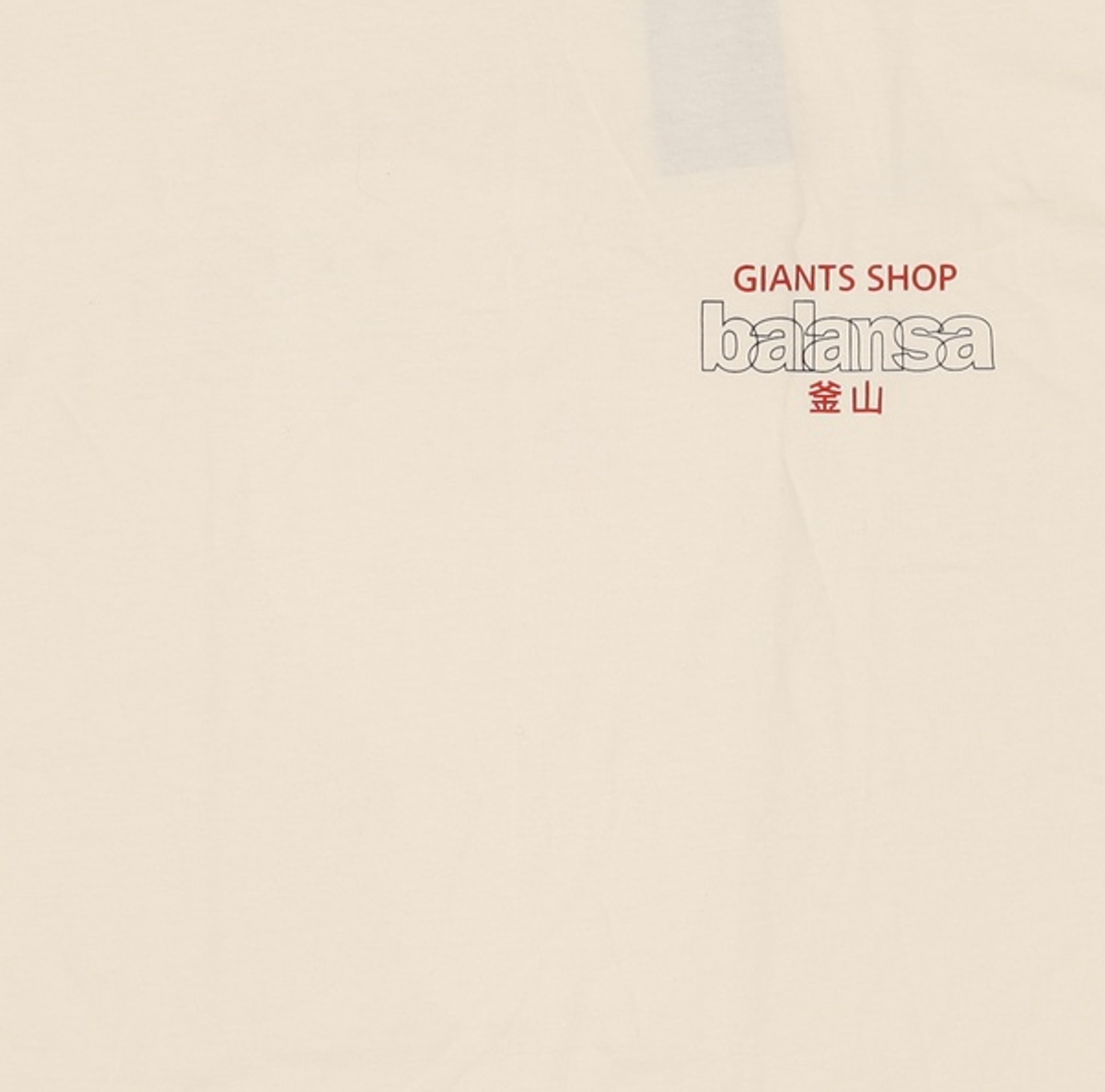 발란사(BALANSA) 반소매 티셔츠 XL