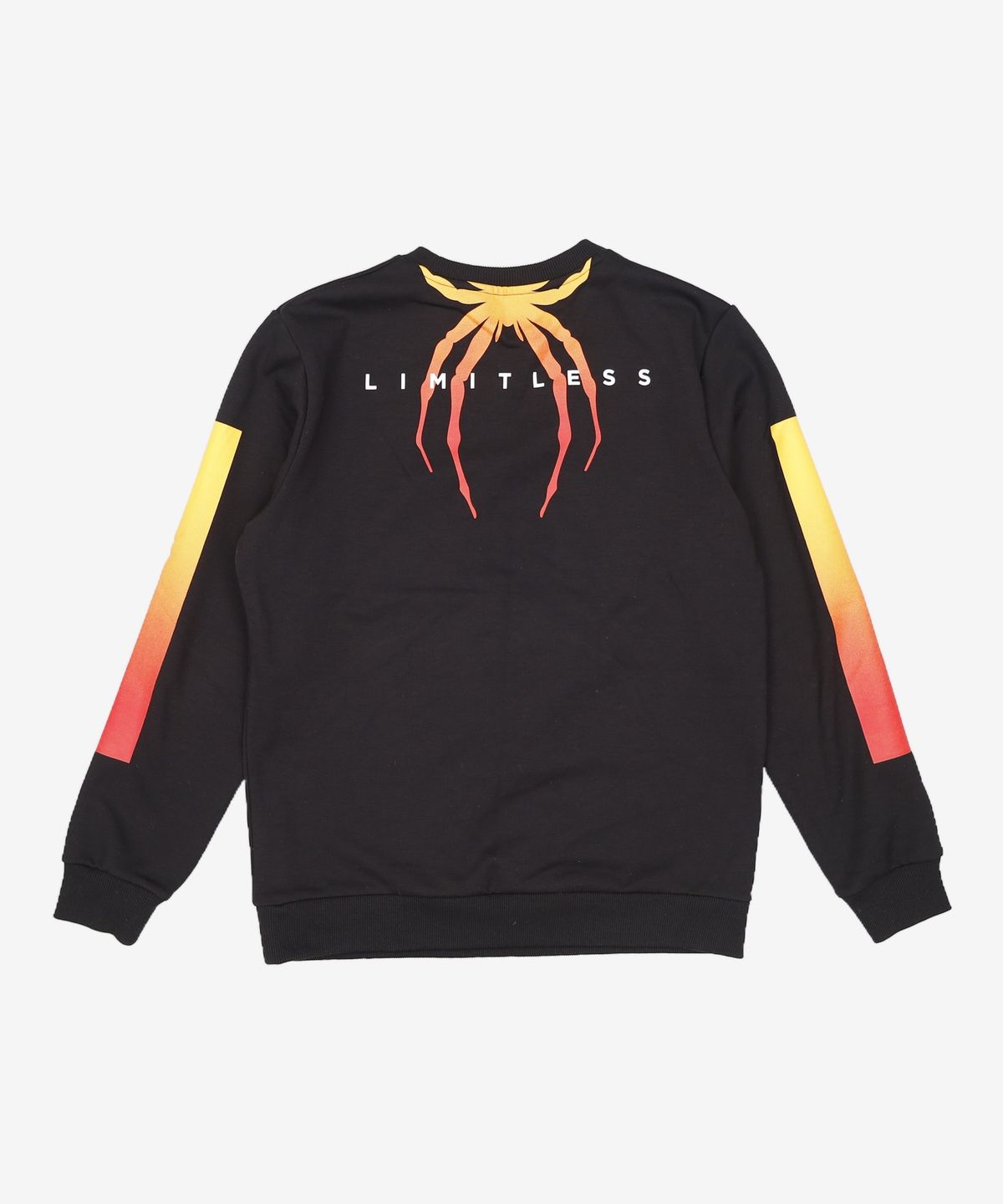 스파이더(SPYDER) 그라데이션블럭 스웨트셔츠 SPEFCNRL301UBLK L
