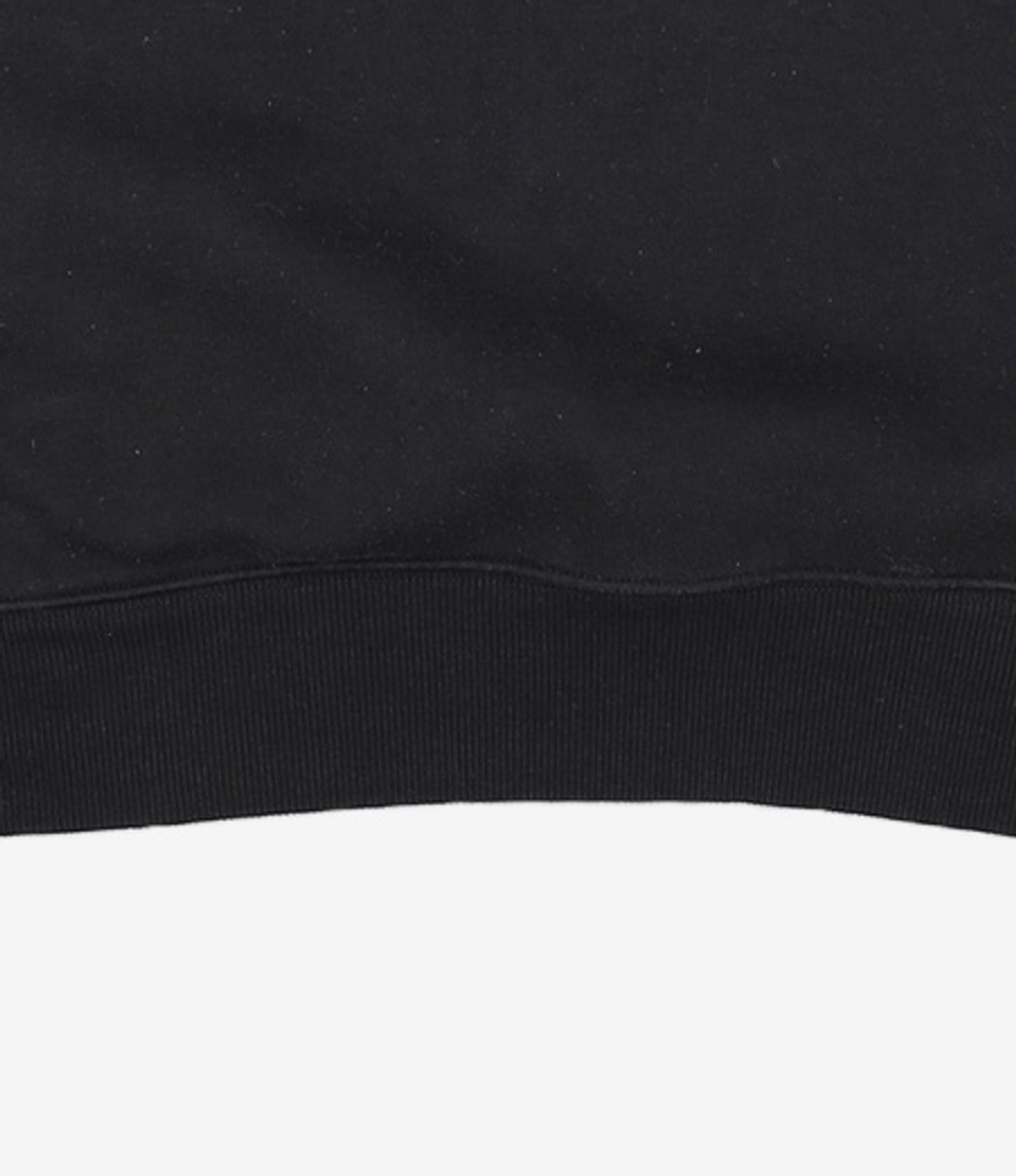 챔피온(CHAMPION) [US] Urban Pursuits Ecofleece 기모 후드스웨트셔츠 (BLACK) CKTS1F611BK M