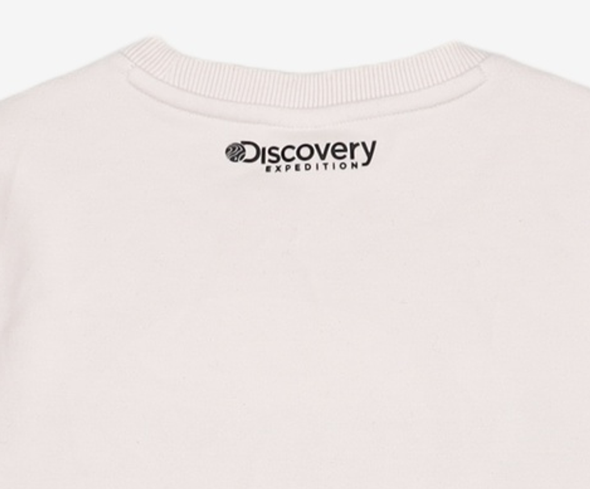디스커버리(discovery) 맨투맨/스웨트셔츠 90